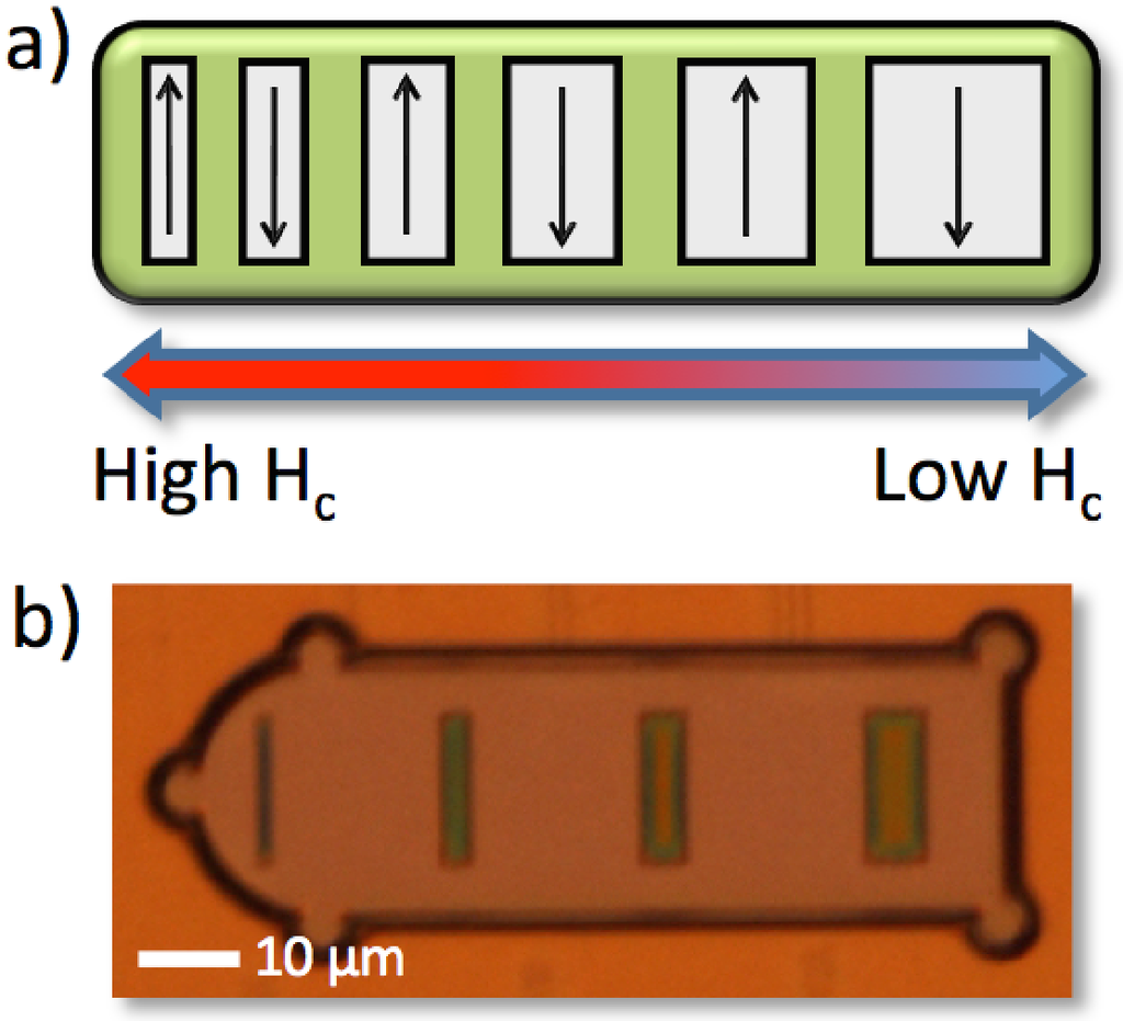 Biosensors Special Issue Biosensors