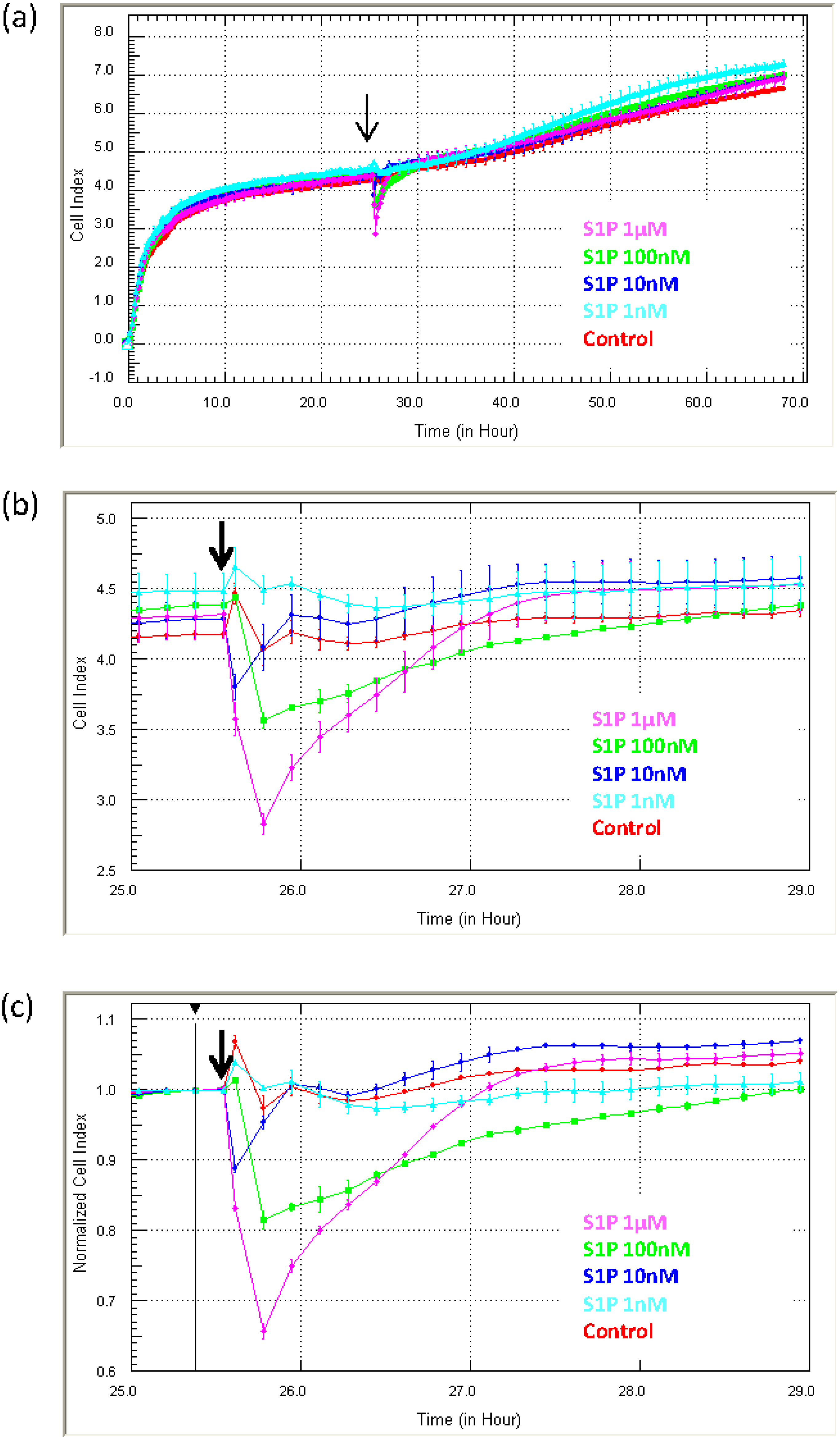 Biosensors 05 00199 g006 1024