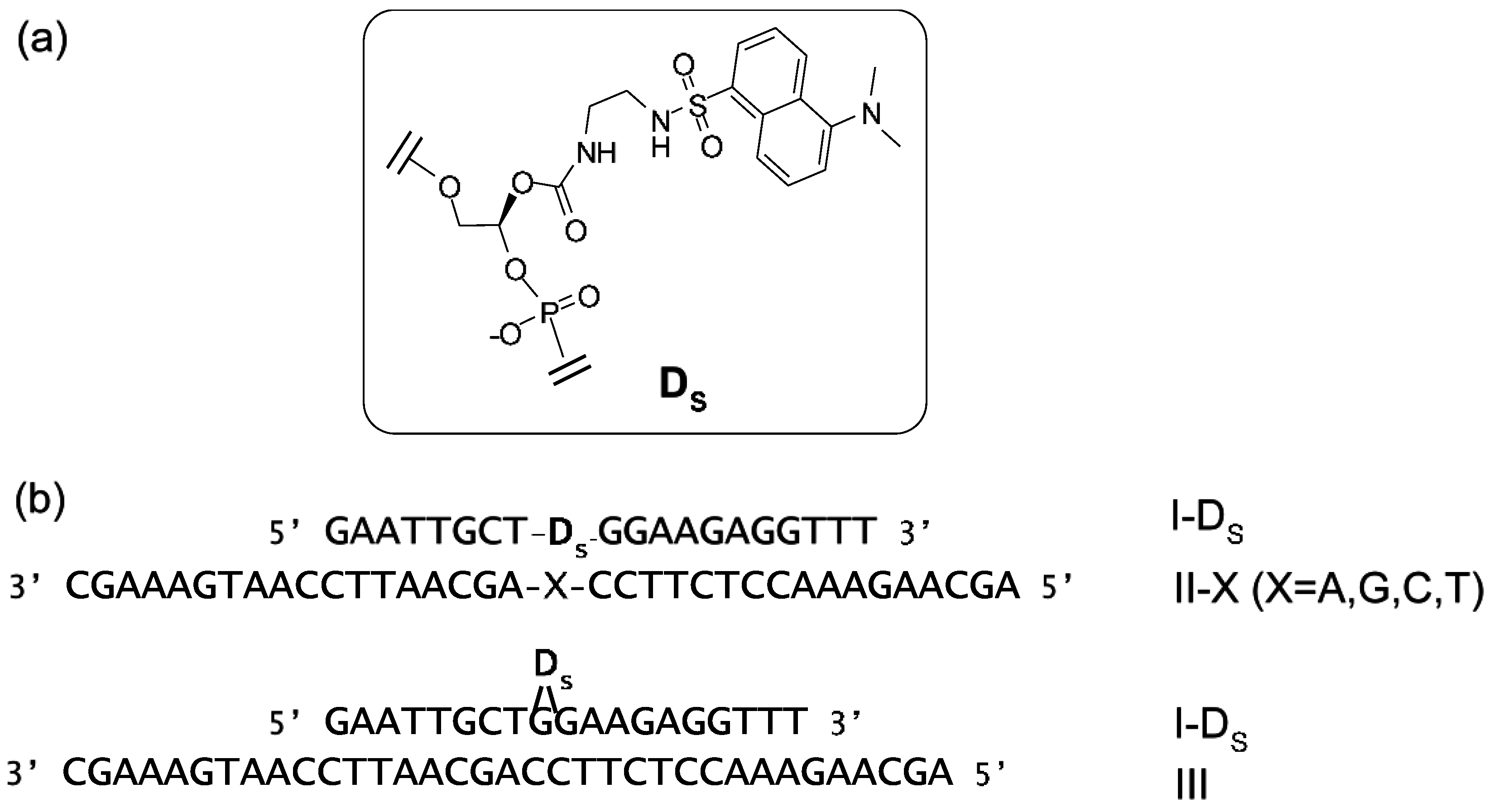 Biosensors 05 00337 g016