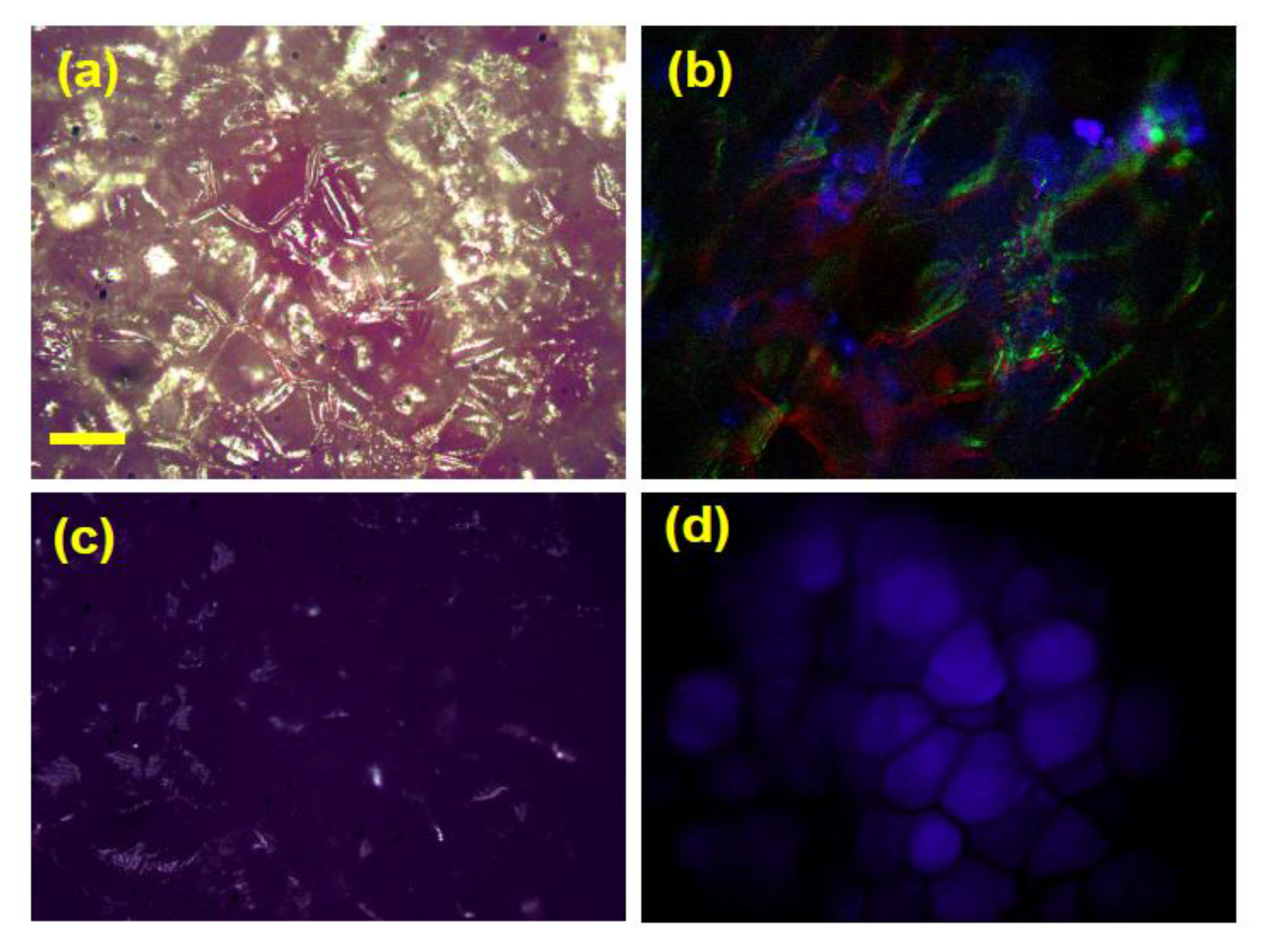 Biosensors 05 00367 g009