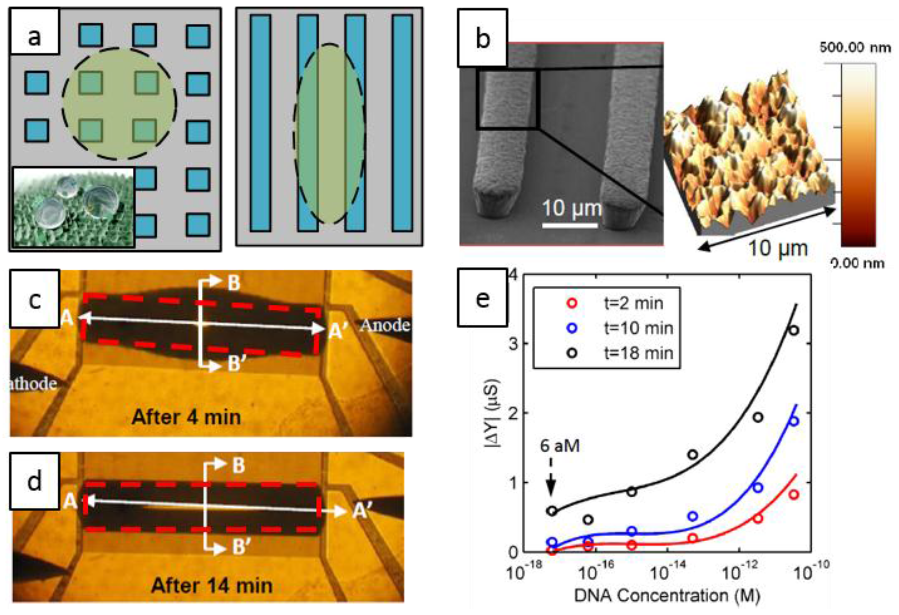 Biosensors 06 00014 g002 1024