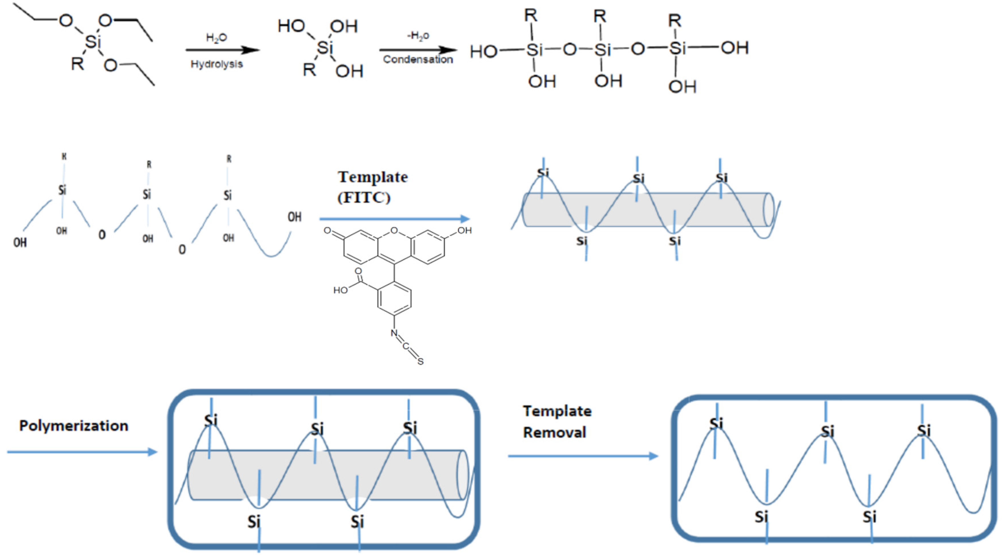 Biosensors 06 00026 g003