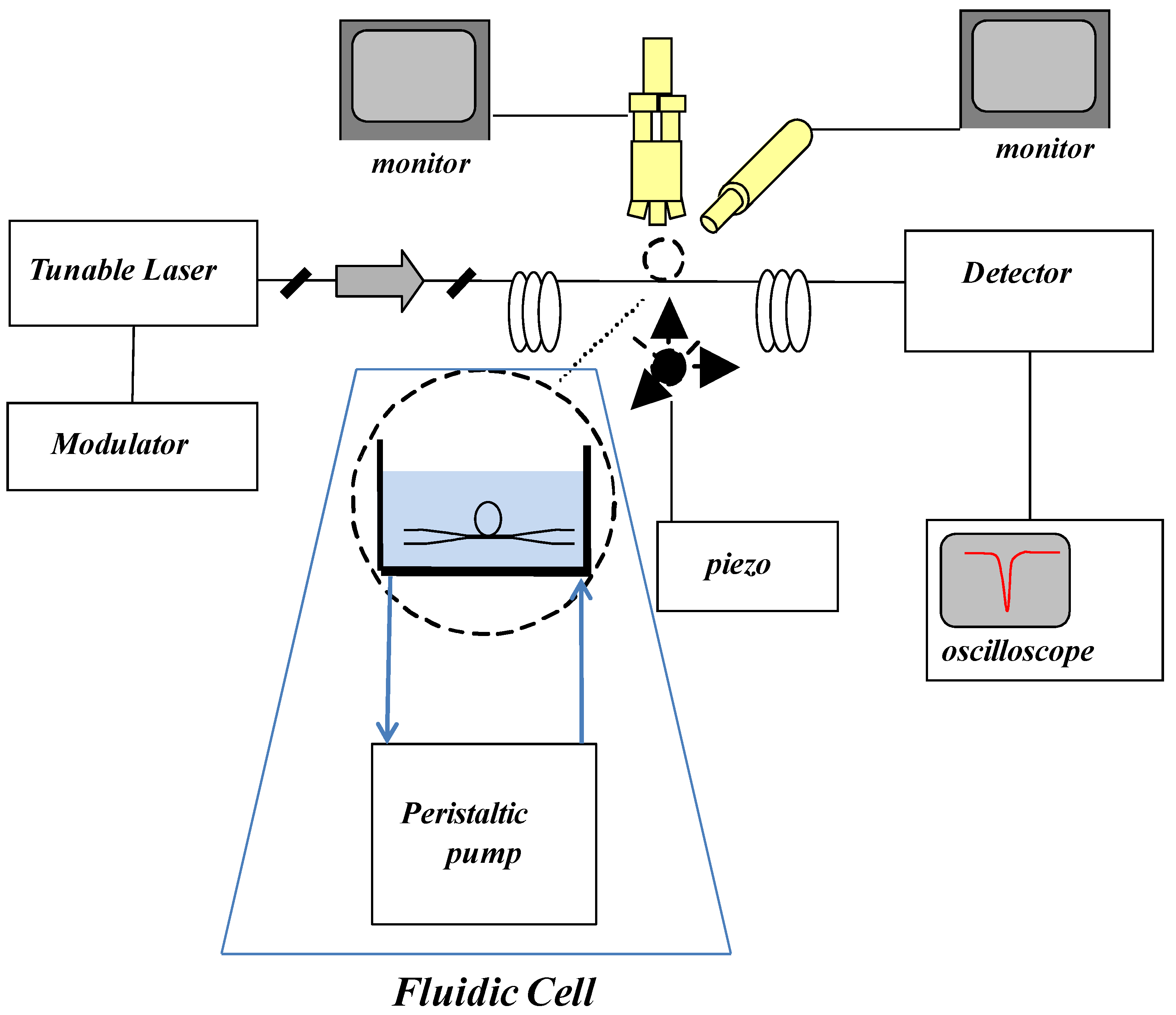 Biosensors 06 00028 g002