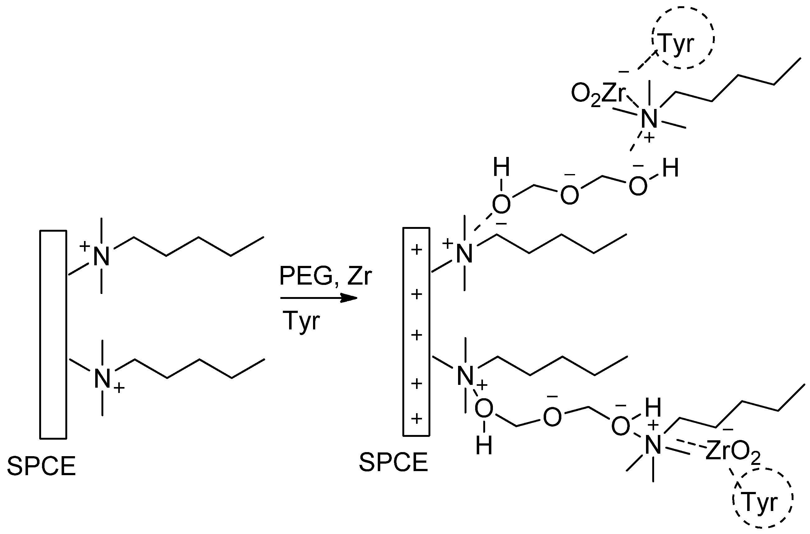 Biosensors 06 00031 g001