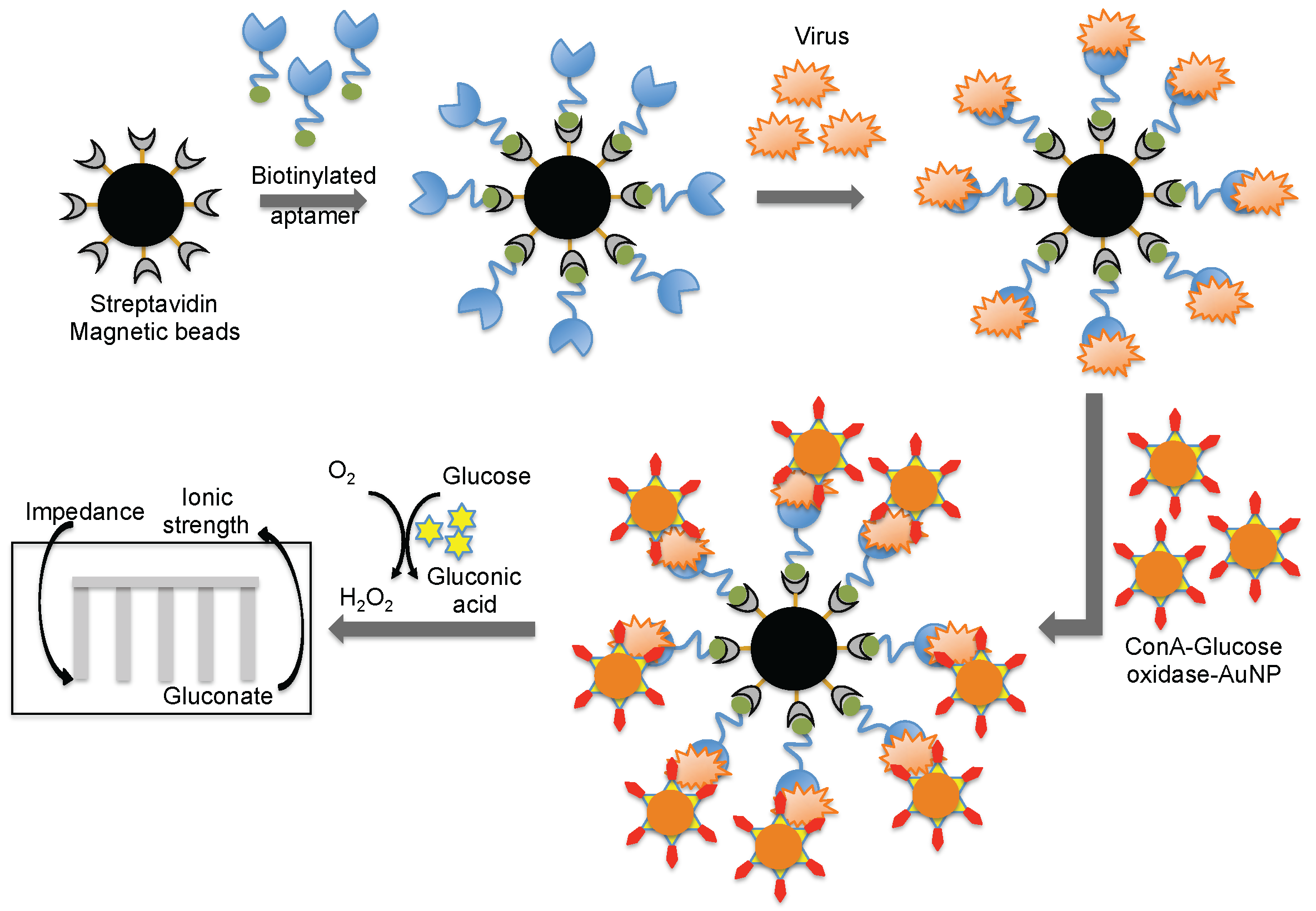 Biosensors 06 00040 g008
