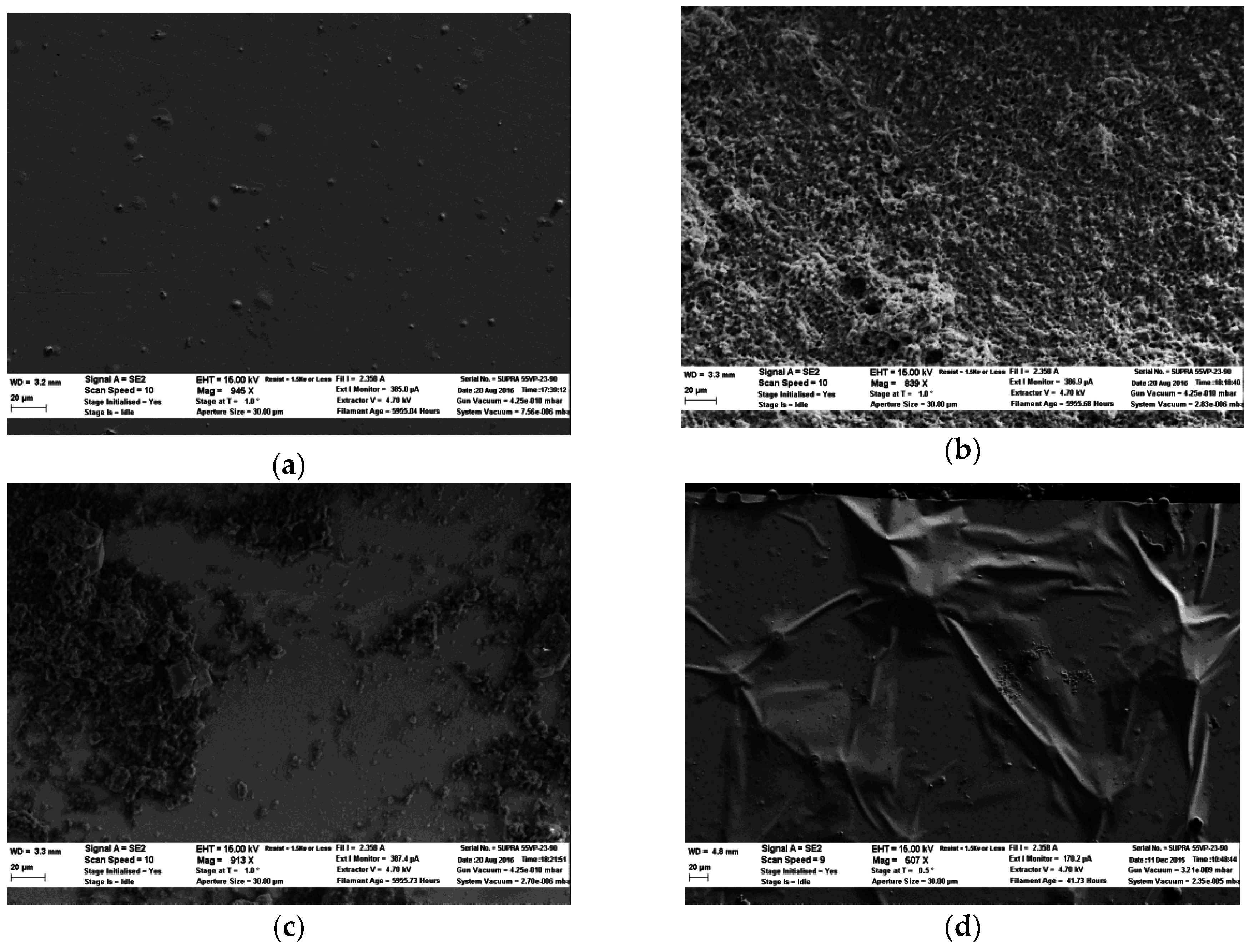 Biosensors Free Full Text Lactate Sensors On Flexible Substrates Html