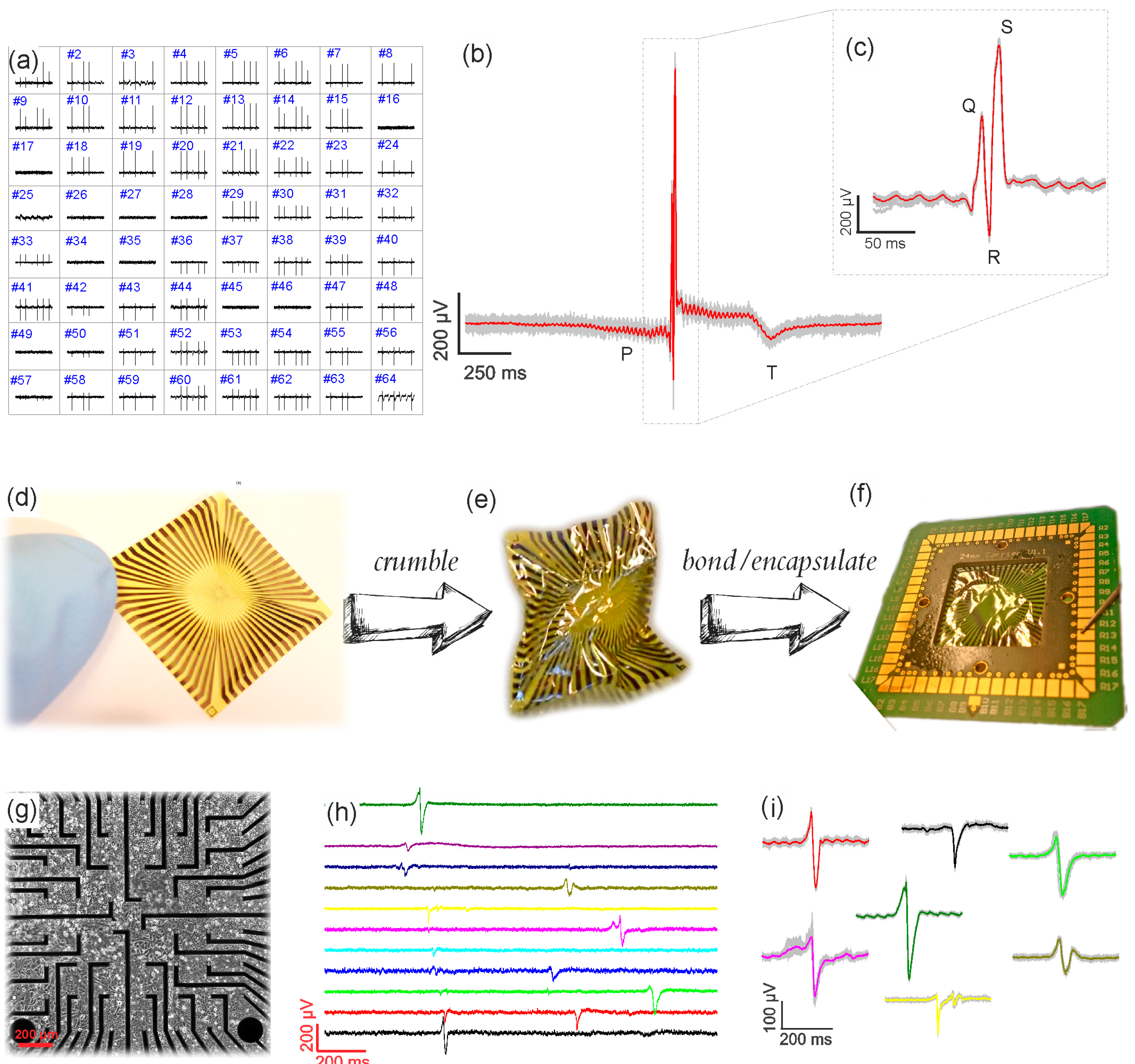 Biosensors 07 00001 g003