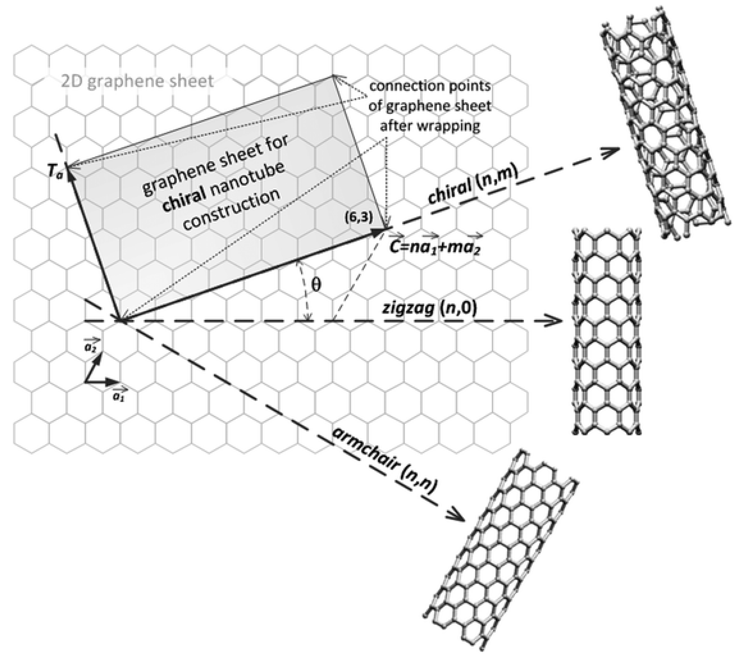 Biosensors Free Full Text Carbon Nanotubes As An Effective Opportunity For Cancer Diagnosis And Treatment Html