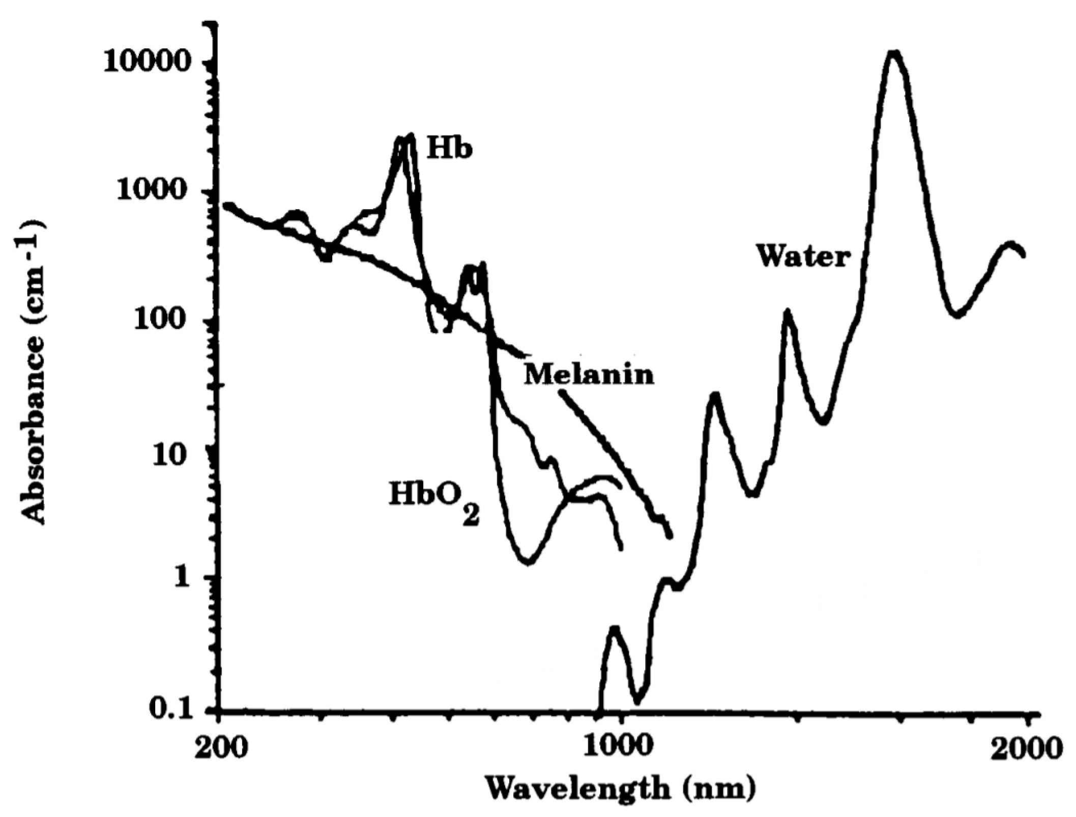Biosensors 07 00022 g001 550