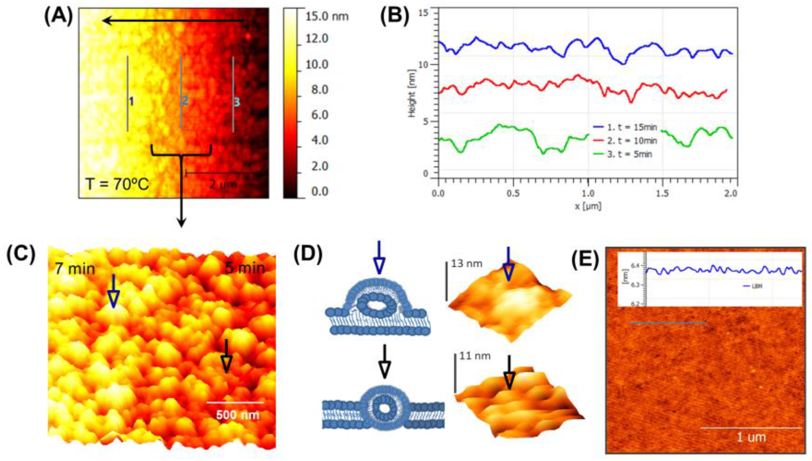 Biosensors 07 00026 g002