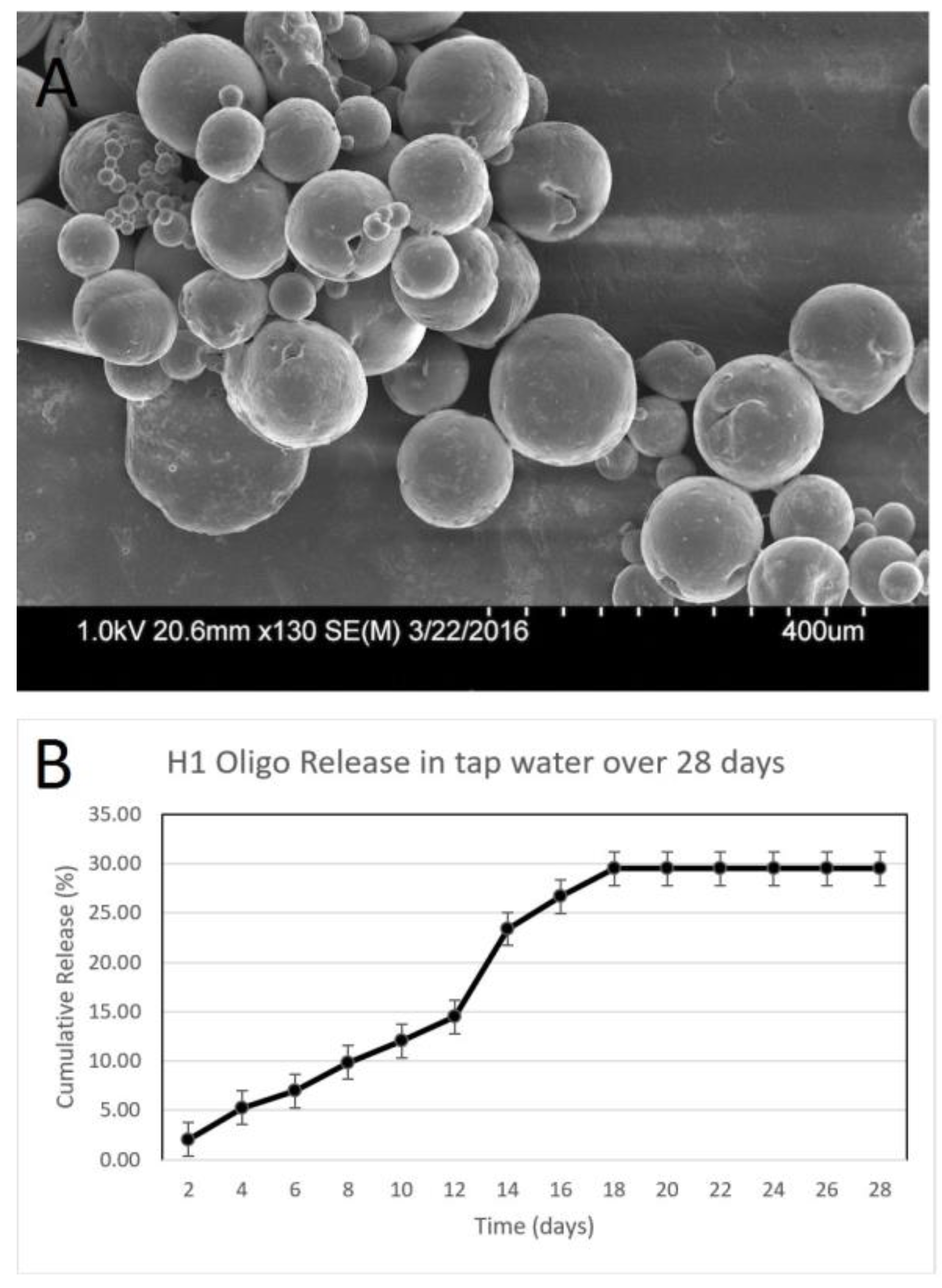 Biosensors 07 00031 g004 Biosensors 07 00031 g004