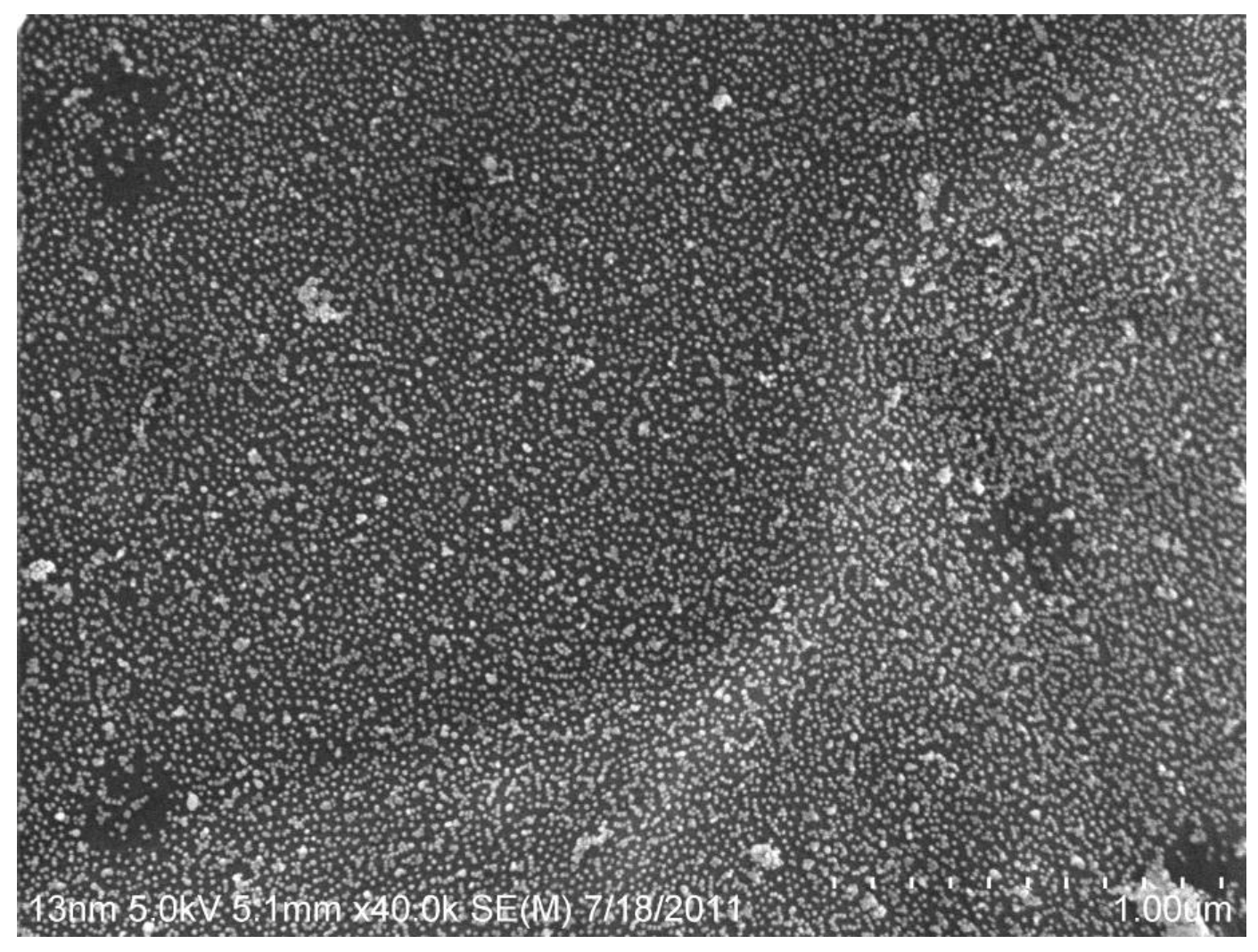 Biosensors 07 00031 g006 Biosensors 07 00031 g006