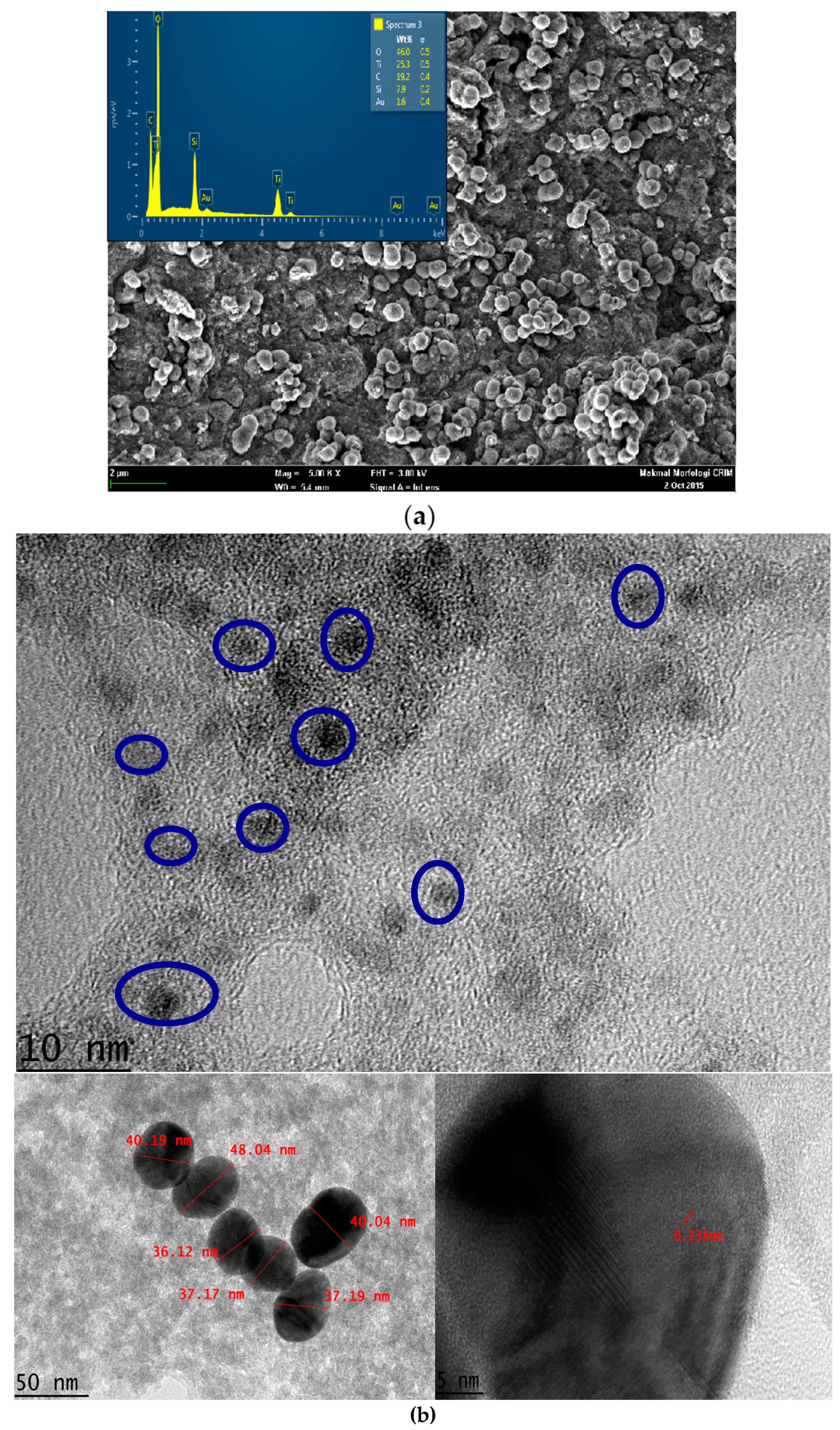 Biosensors 07 00038 g002