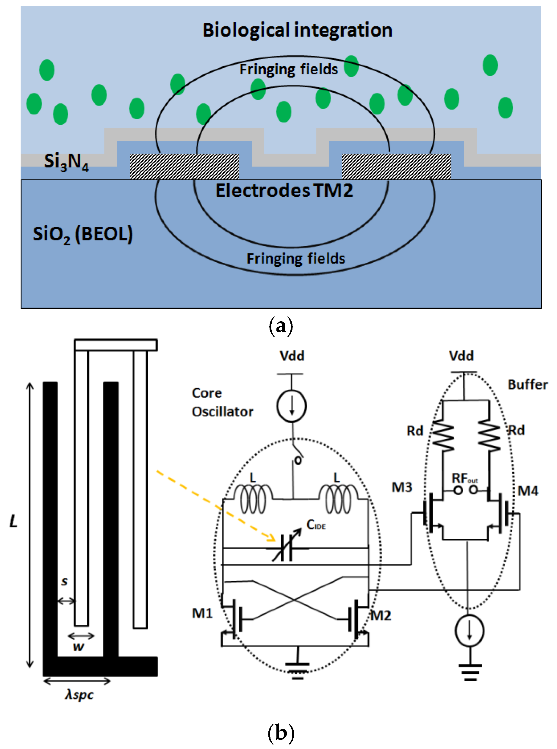 Biosensors 07 00042 g008