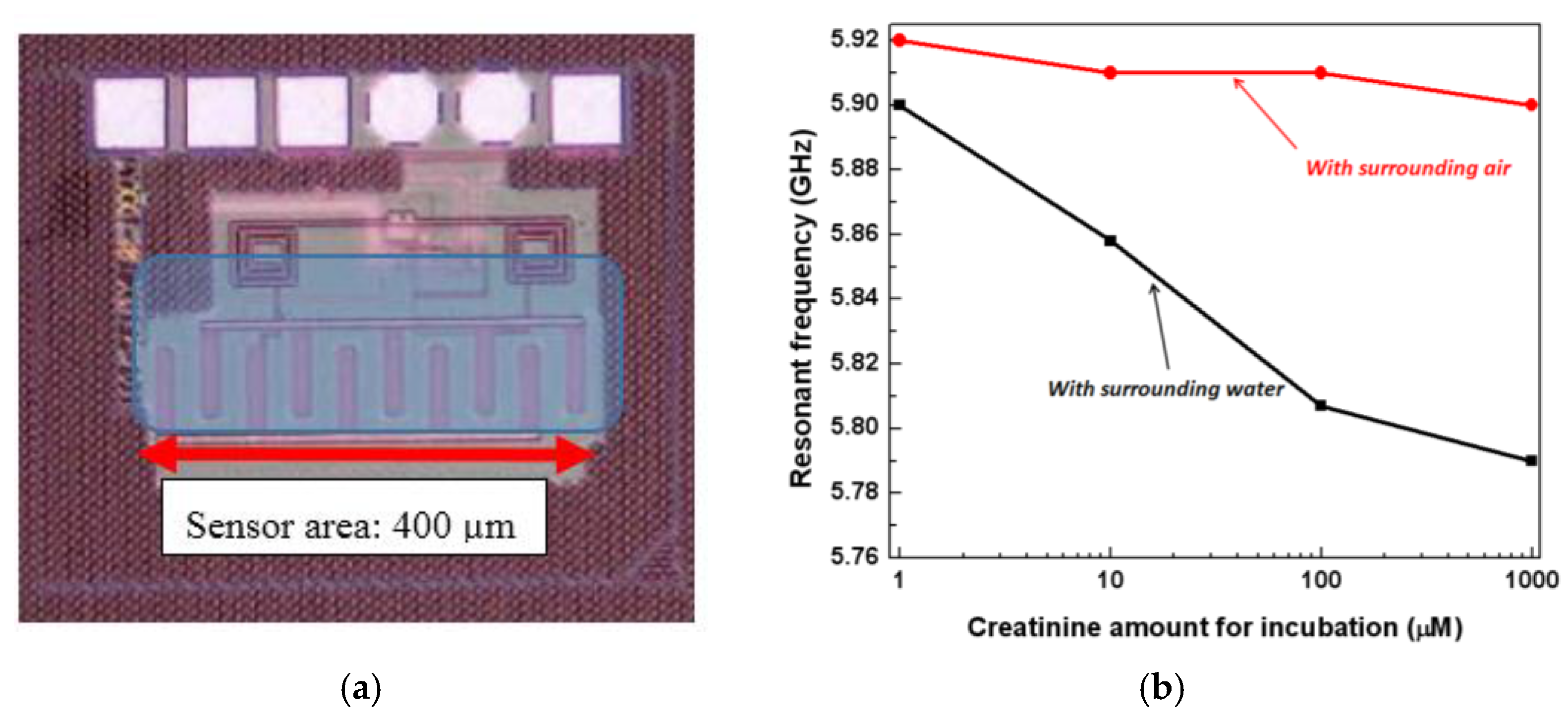 Biosensors 07 00042 g009