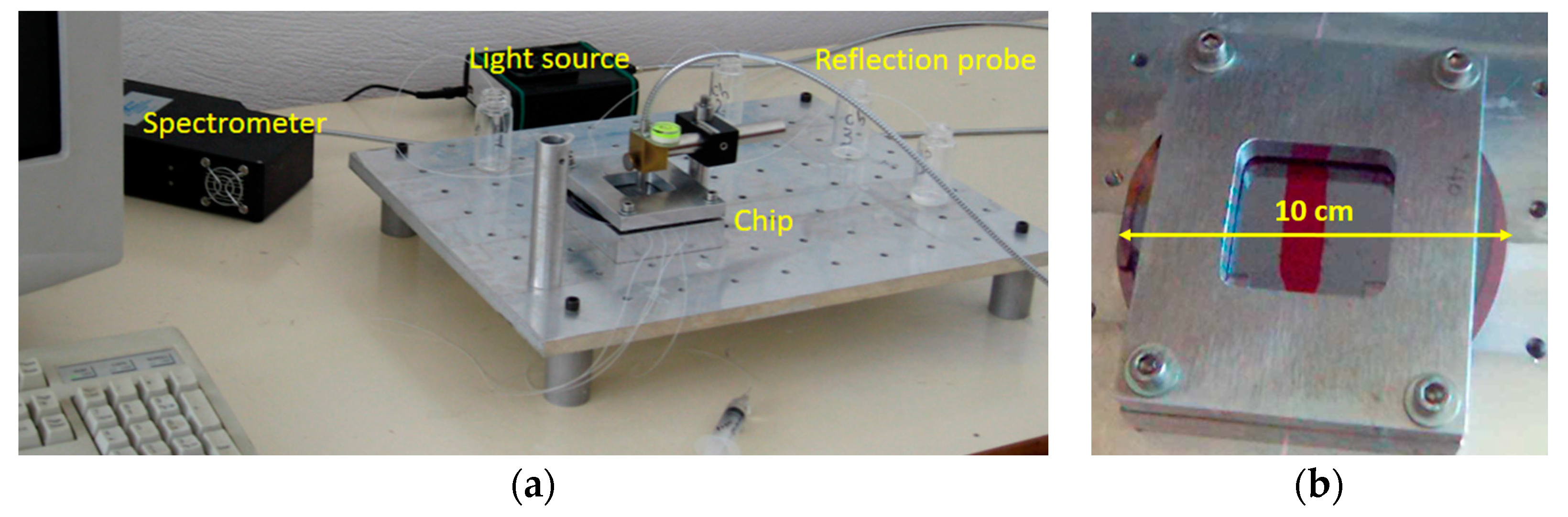 Biosensors 07 00046 g004