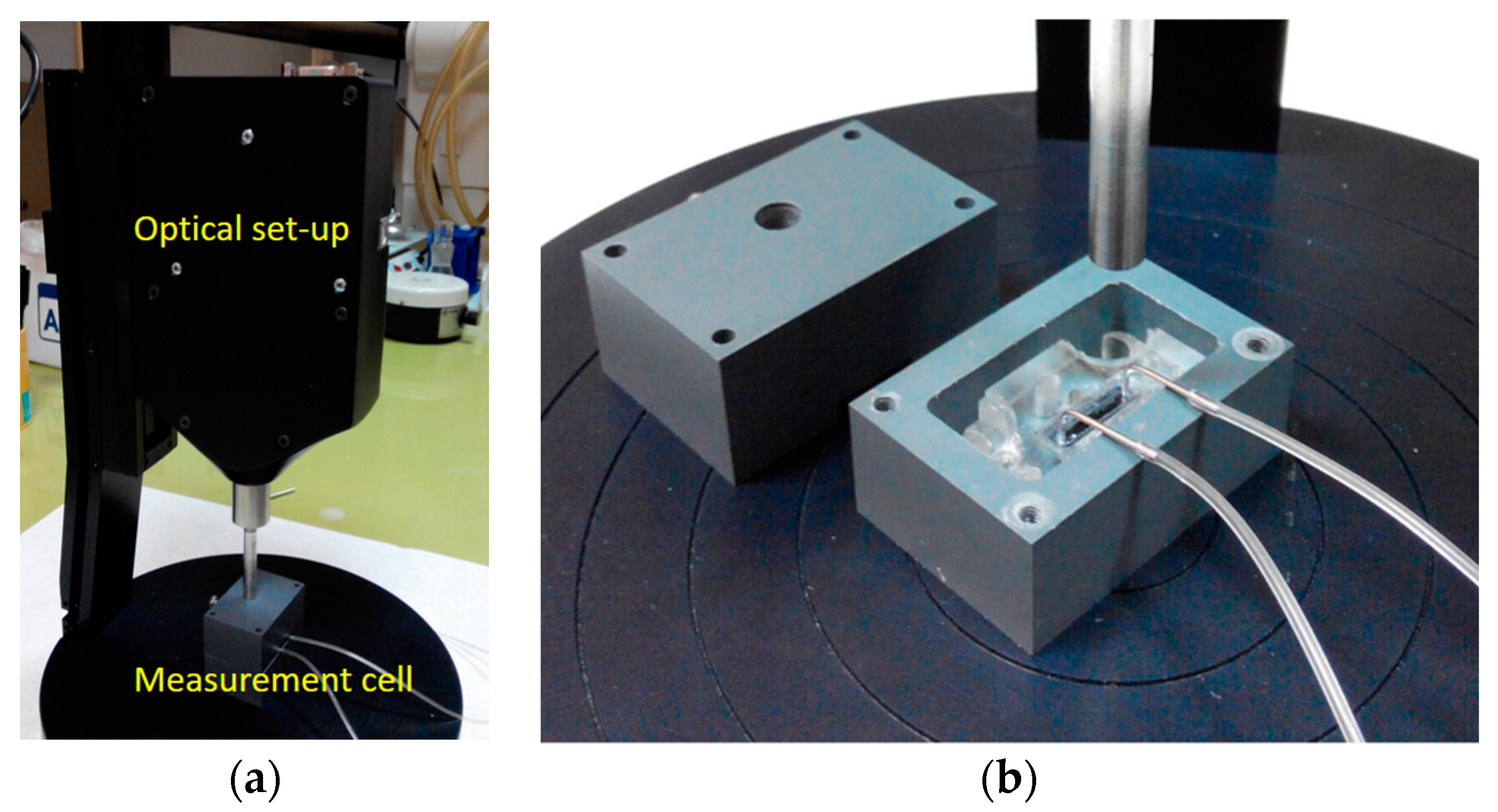 Biosensors 07 00046 g010
