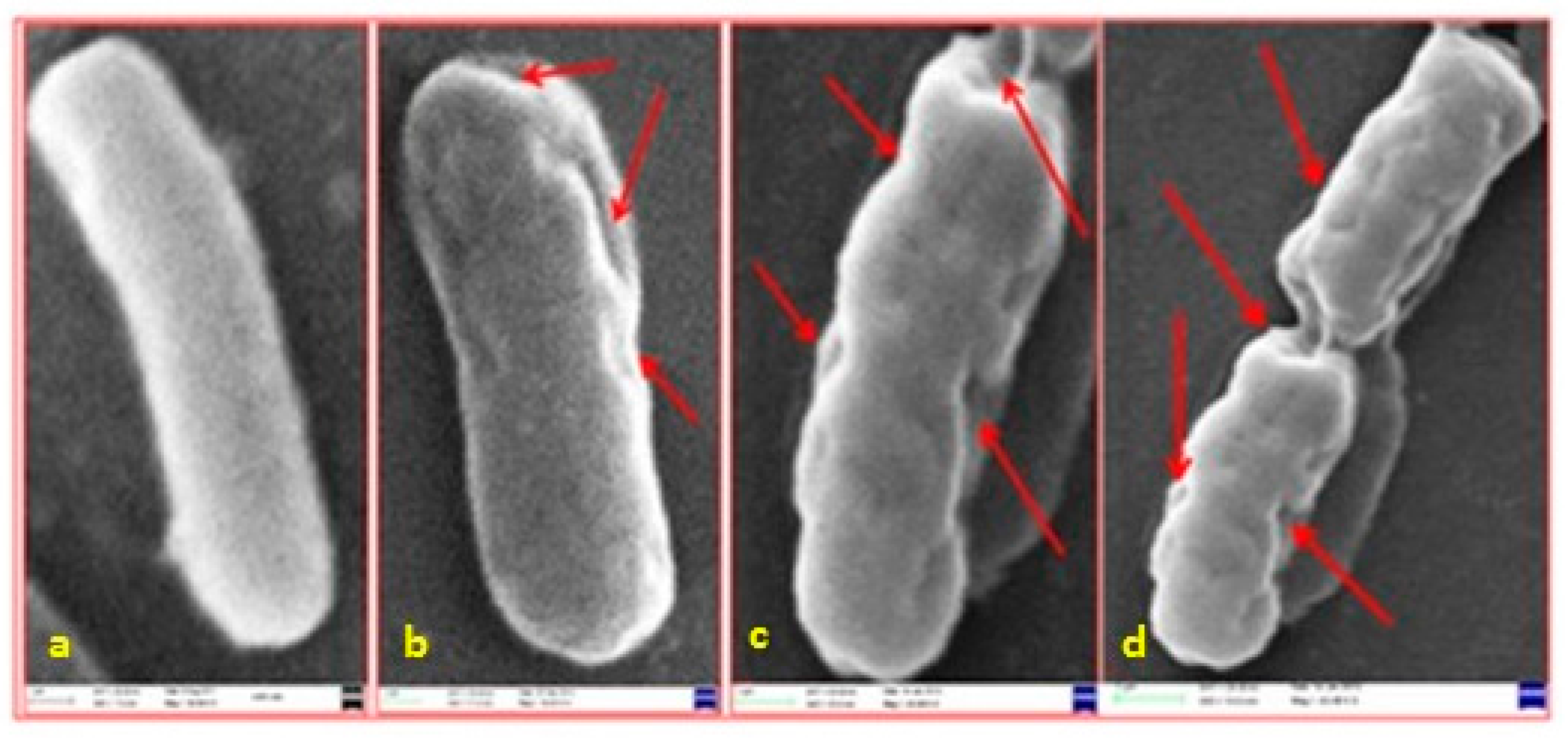 Biosensors 07 00051 g002 Biosensors 07 00051 g002