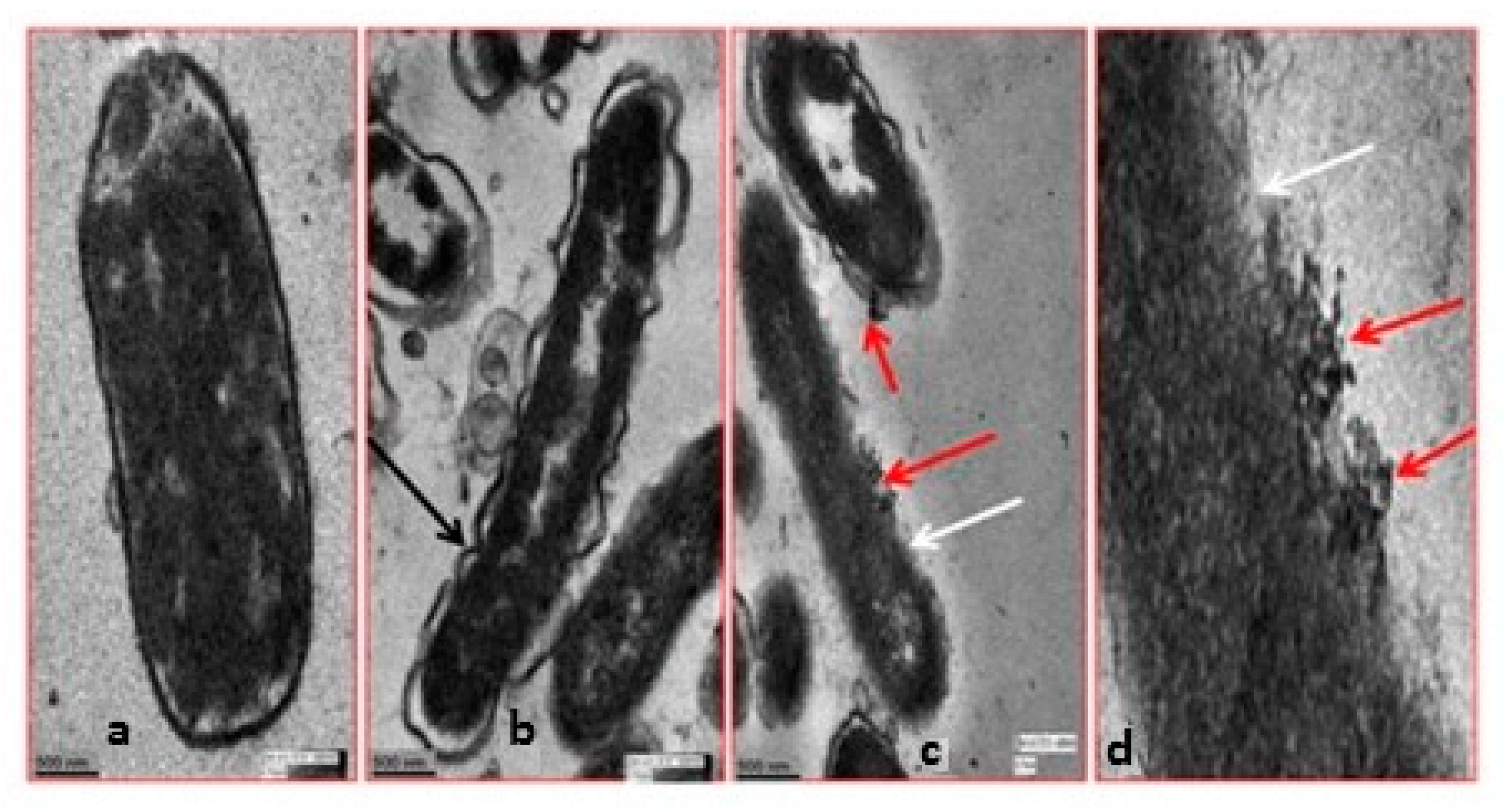 Biosensors 07 00051 g003 Biosensors 07 00051 g003