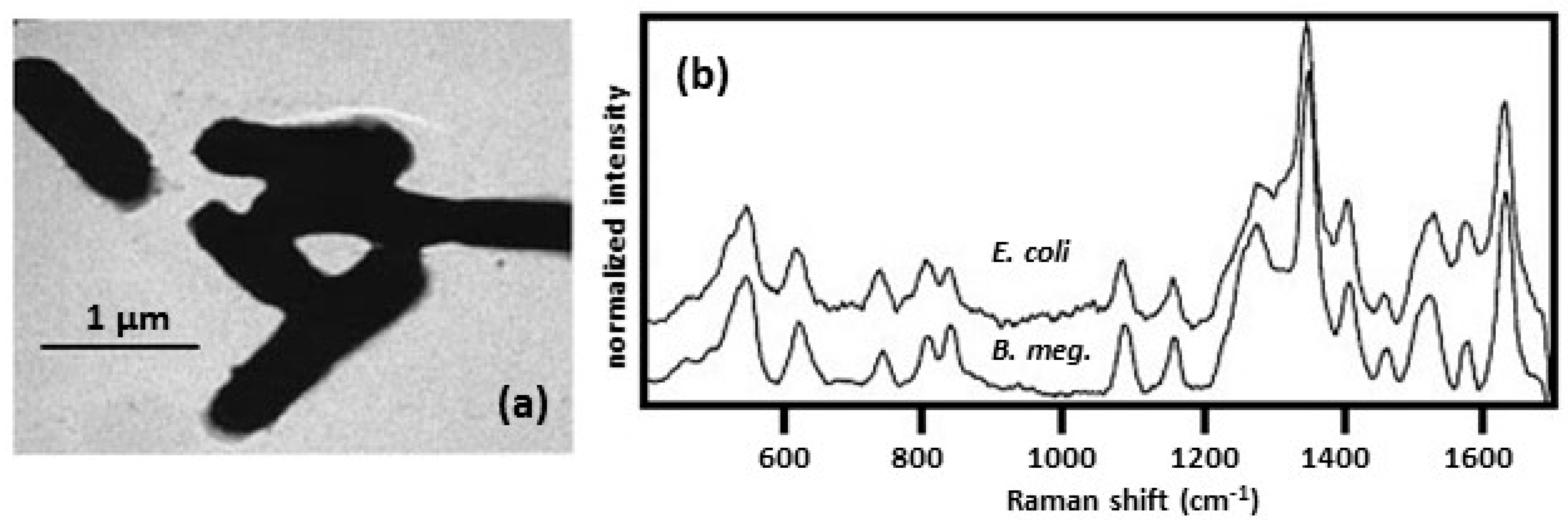 Biosensors 07 00051 g005 Biosensors 07 00051 g005