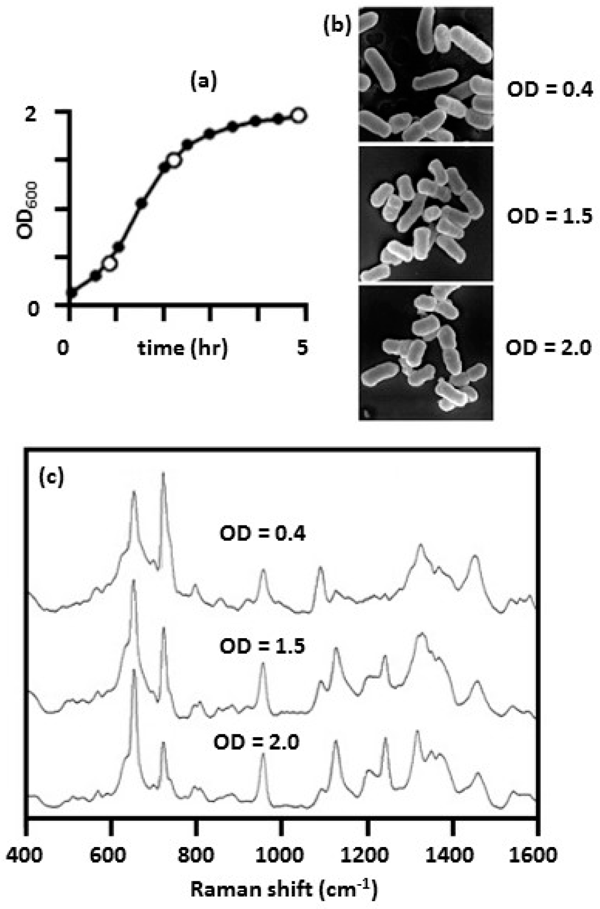Biosensors 07 00051 g013 Biosensors 07 00051 g013