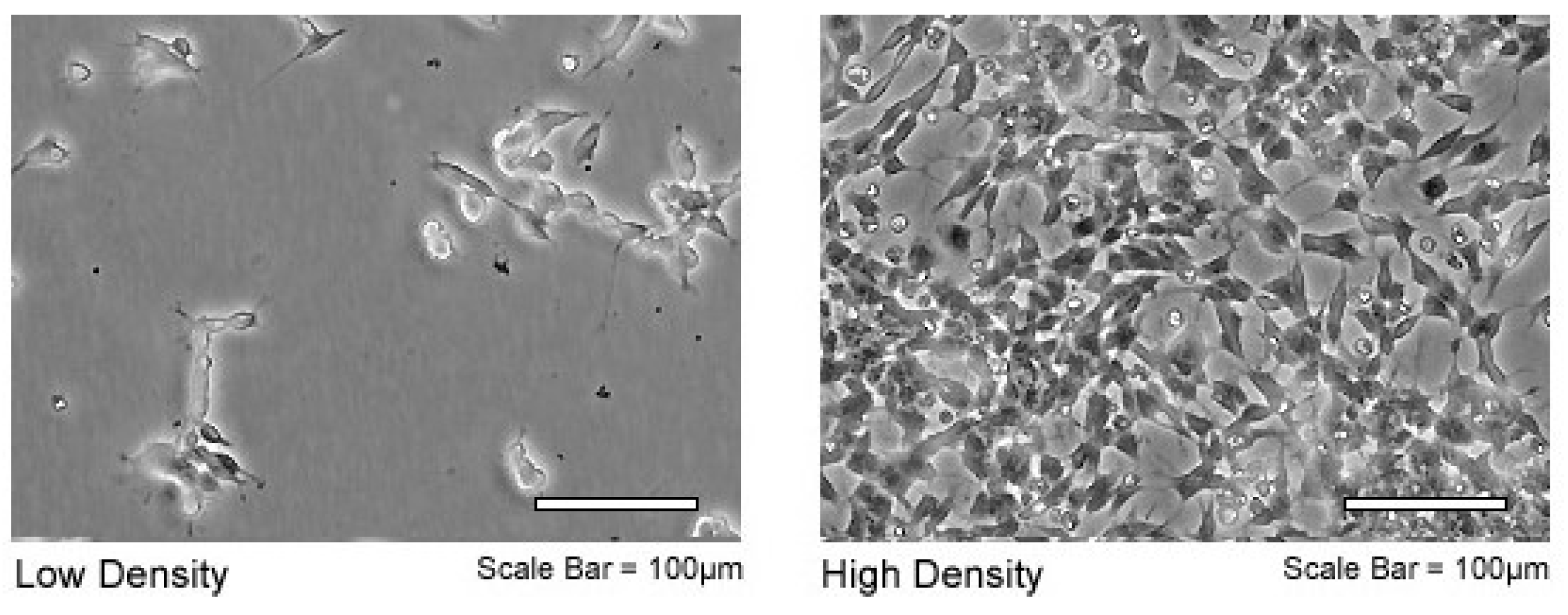 Biosensors 07 00057 g003 Biosensors 07 00057 g003