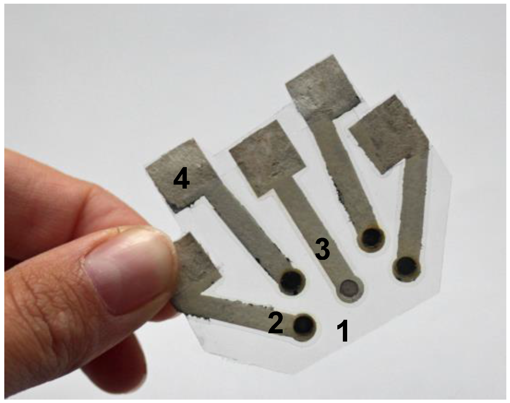 Biosensors 08 00003 g003 Biosensors 08 00003 g003