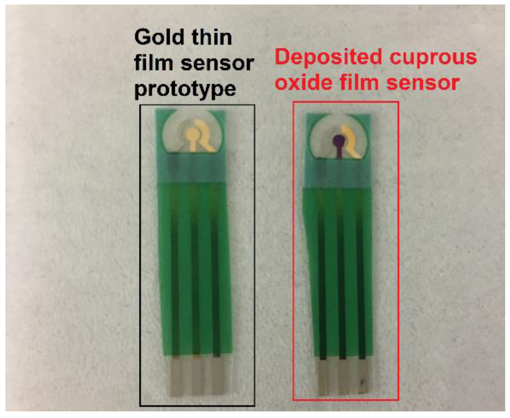 Biosensors 08 00004 g001
