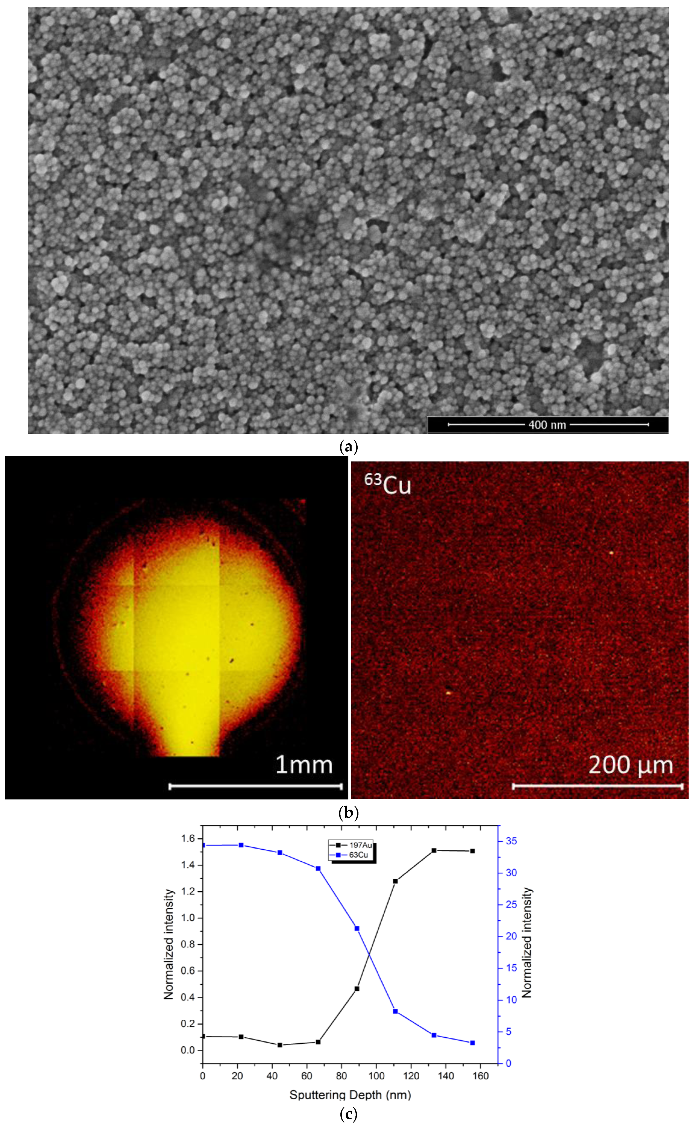Biosensors 08 00004 g002