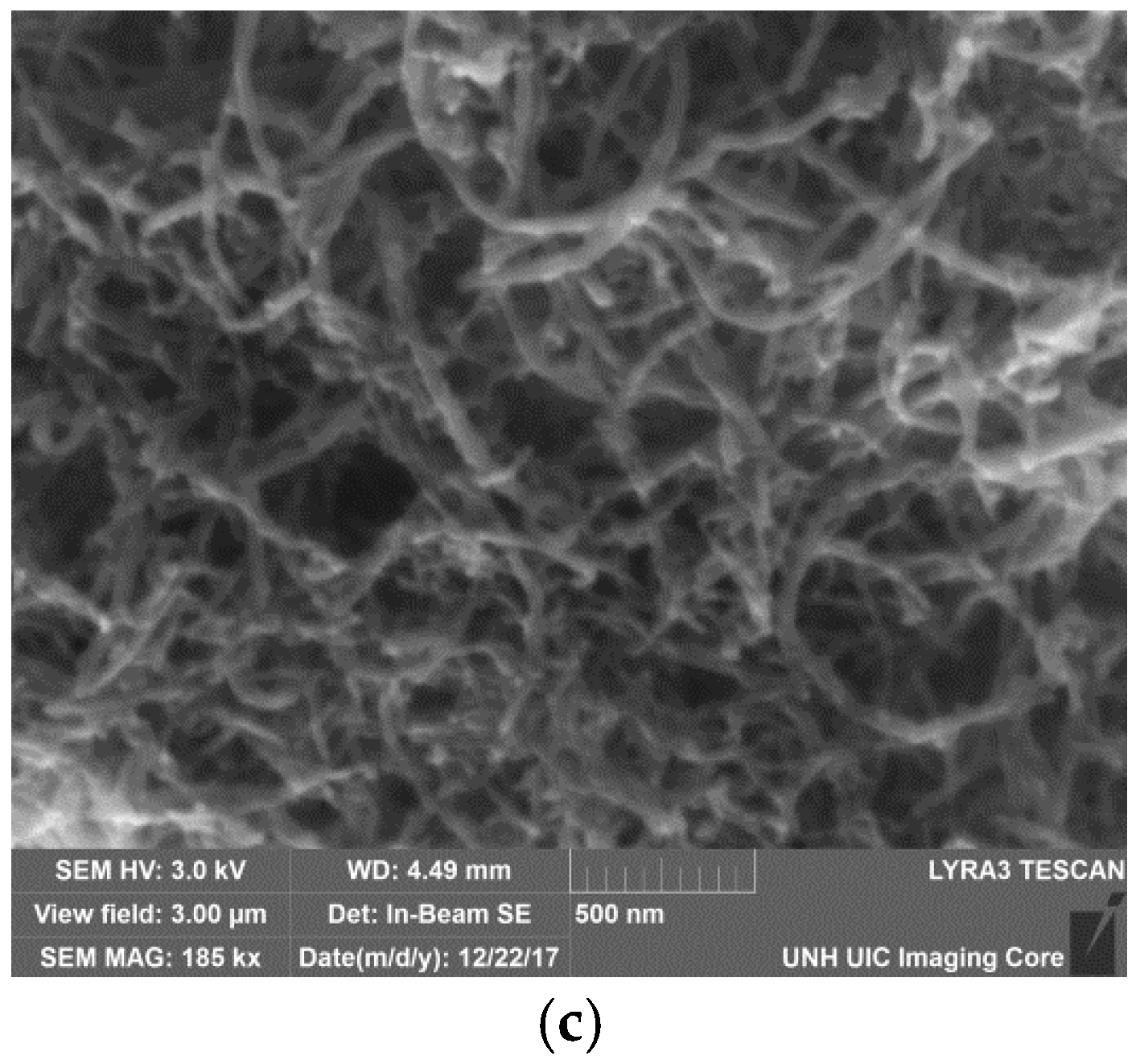 Biosensors 08 00007 g003b