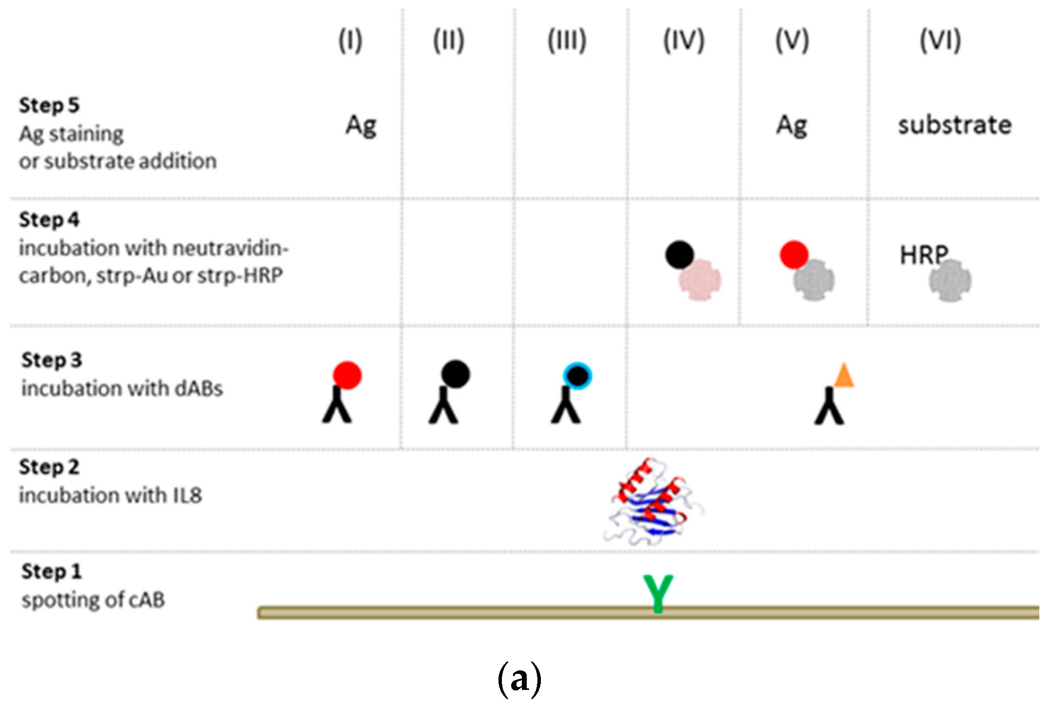 Biosensors 08 00010 g001a