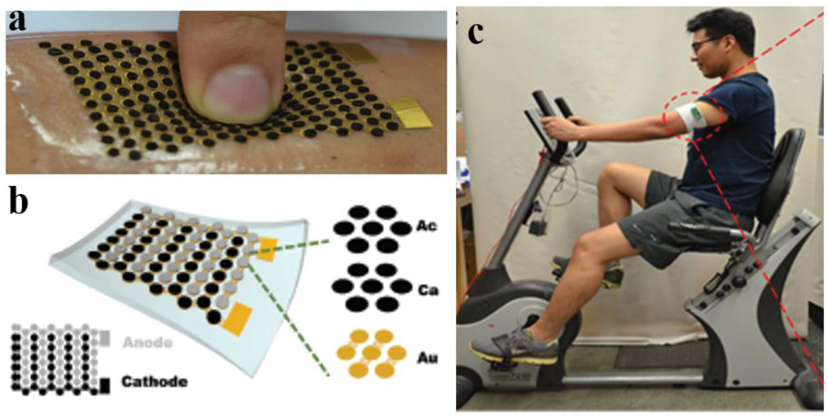 Biosensors 08 00011 g005 Biosensors 08 00011 g005