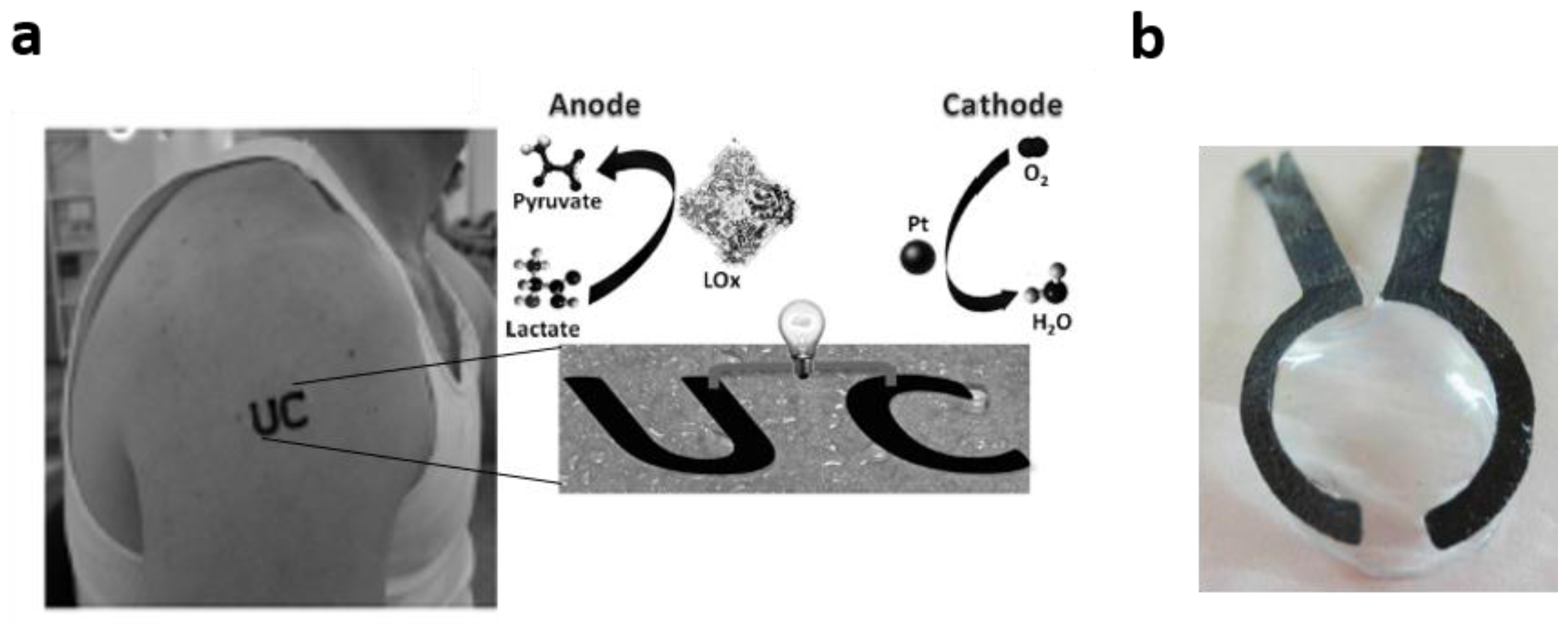 Biosensors 08 00011 g006 Biosensors 08 00011 g006