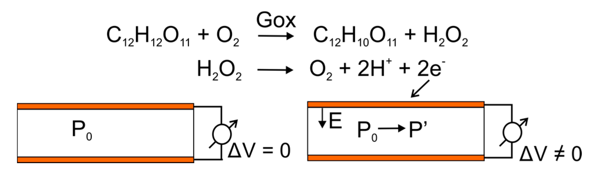 Biosensors 08 00012 g002