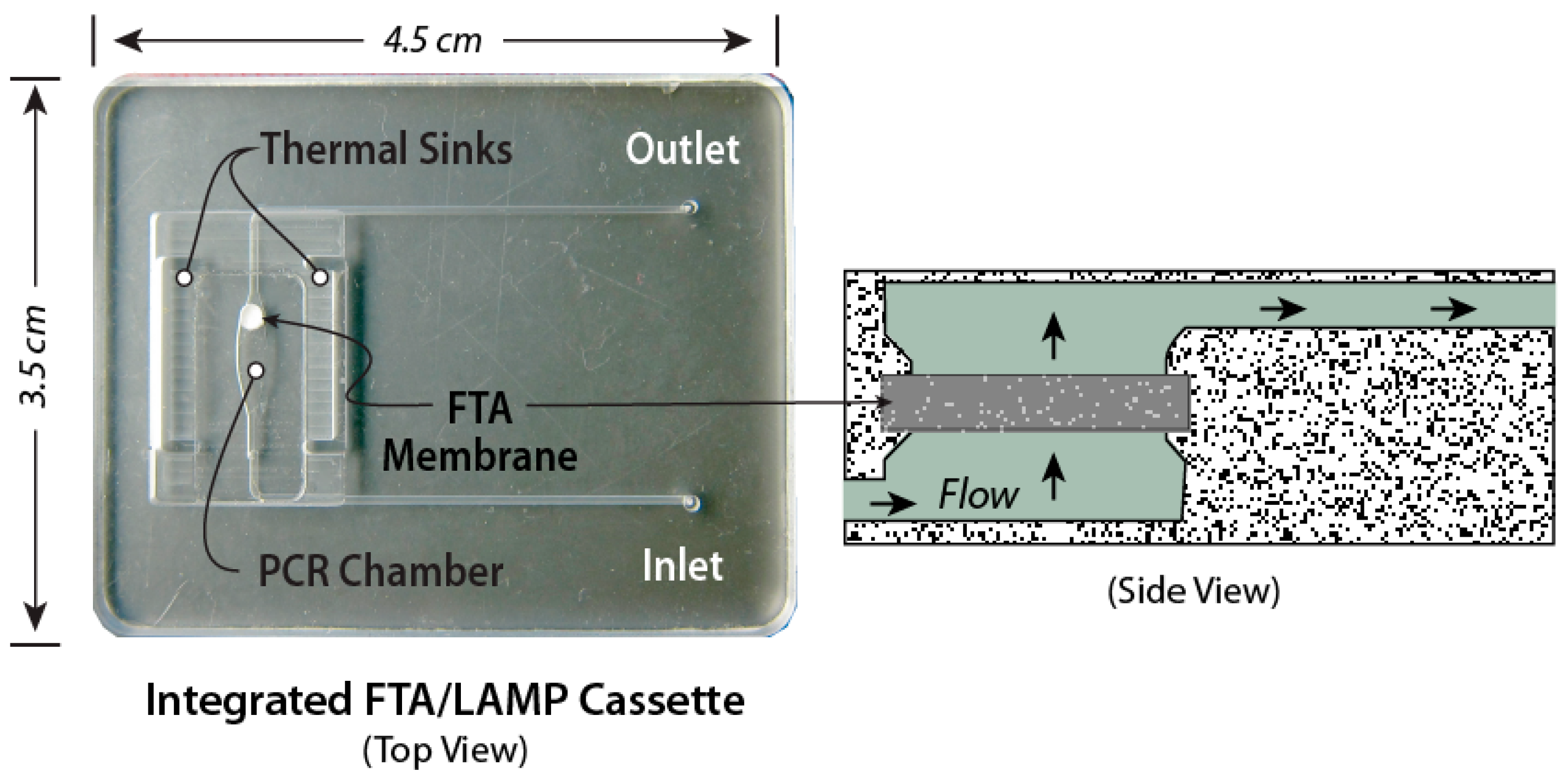 Biosensors 08 00017 g003
