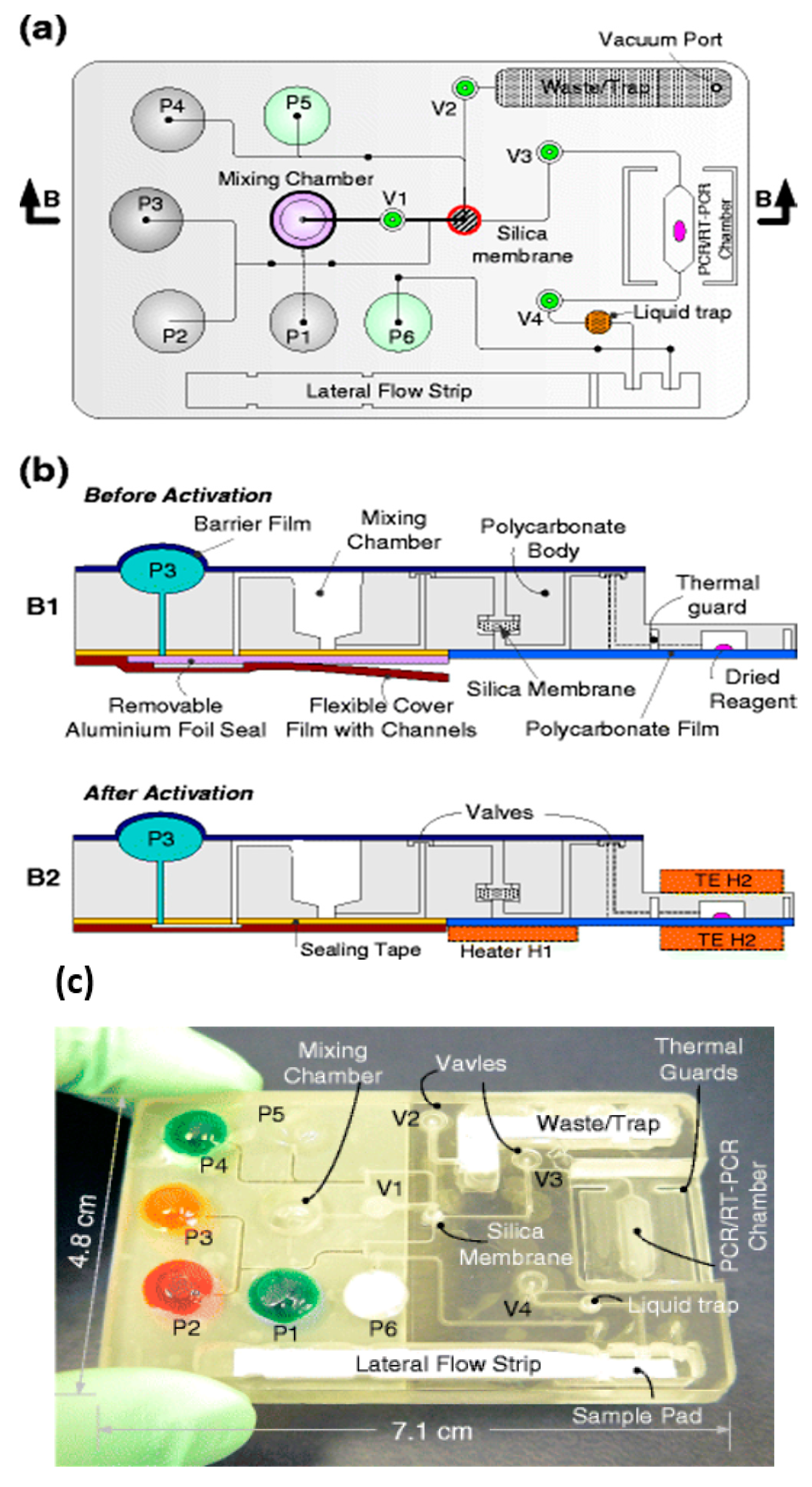 Biosensors Free Full Text Simple Approaches To Minimally Instrumented Microfluidic Based Point Of Care Nucleic Acid Amplification Tests Html Biosensors Free Full Text Simple Approaches To Minimally Instrumented Microfluidic Based Point Of Care Nucleic Acid Amplification Tests Html