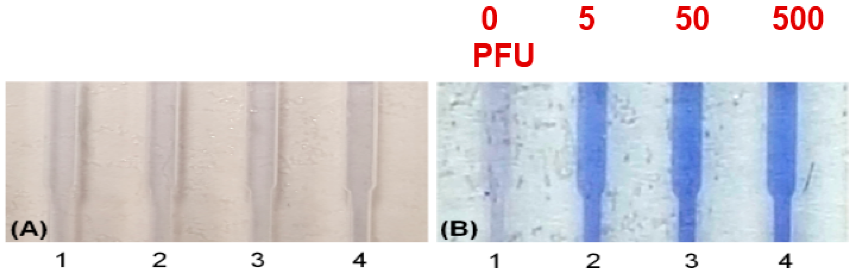 Biosensors 08 00017 g007