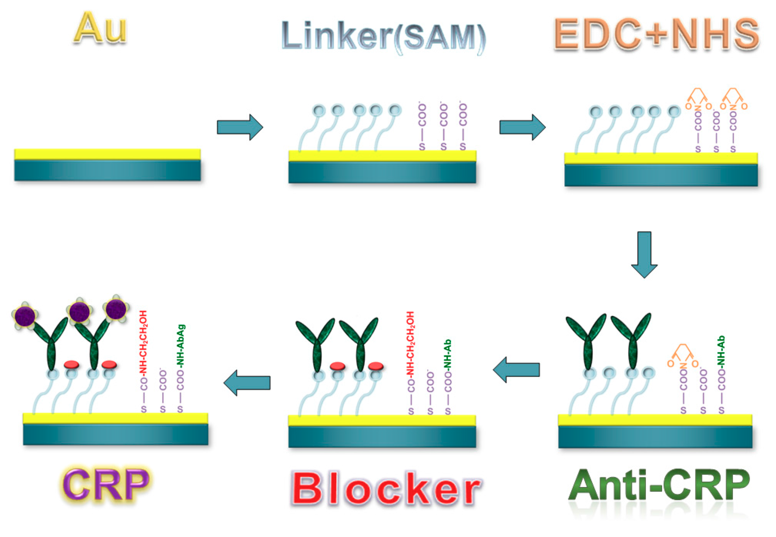 Biosensors 08 00018 g004 550