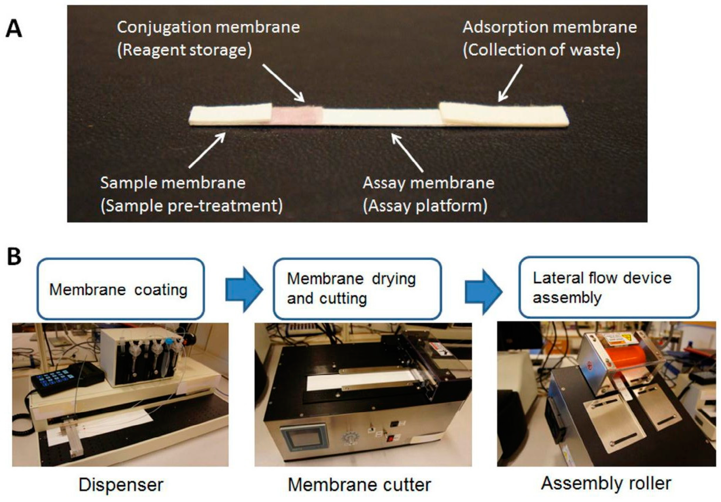 Biosensors 08 00023 g006