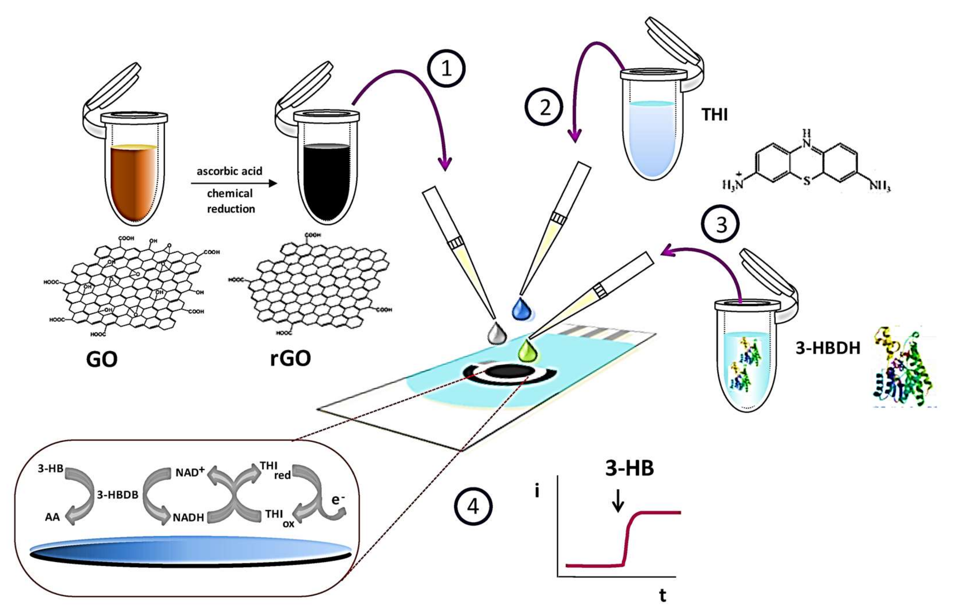 ebook immobilisation of dna