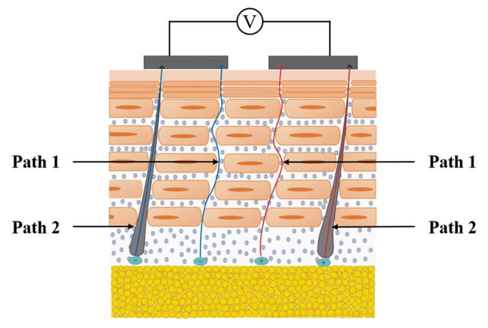 Biosensors 08 00031 g002