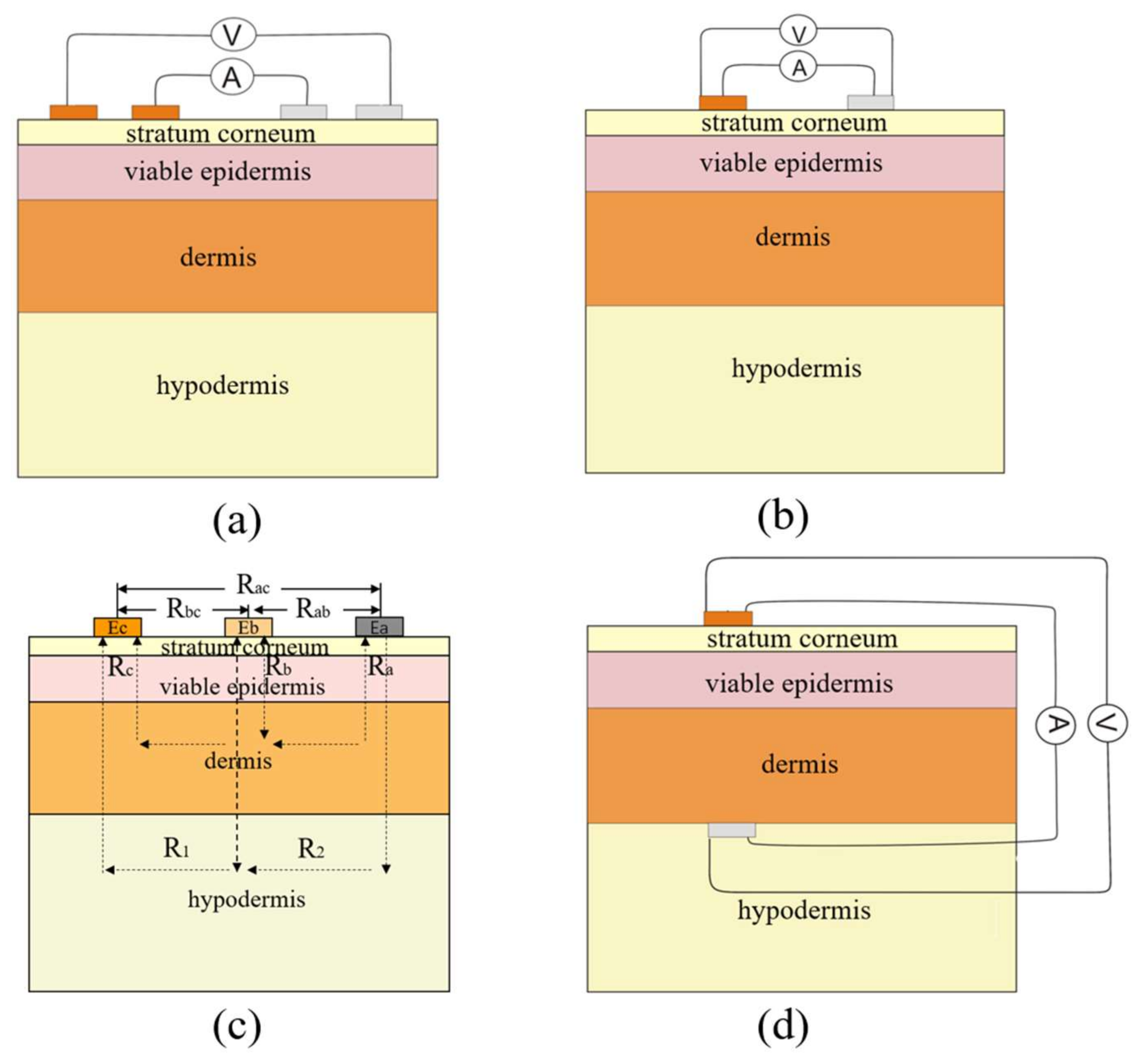 Biosensors 08 00031 g006