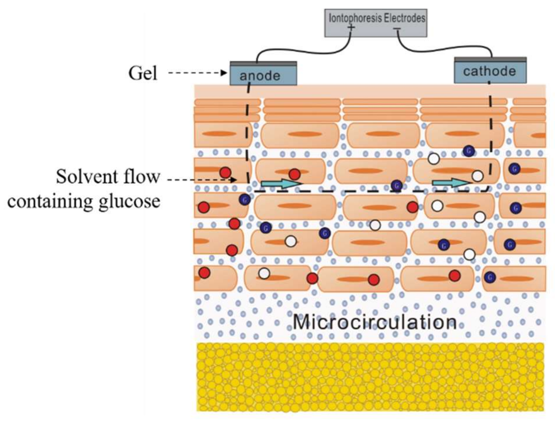 Biosensors 08 00031 g007
