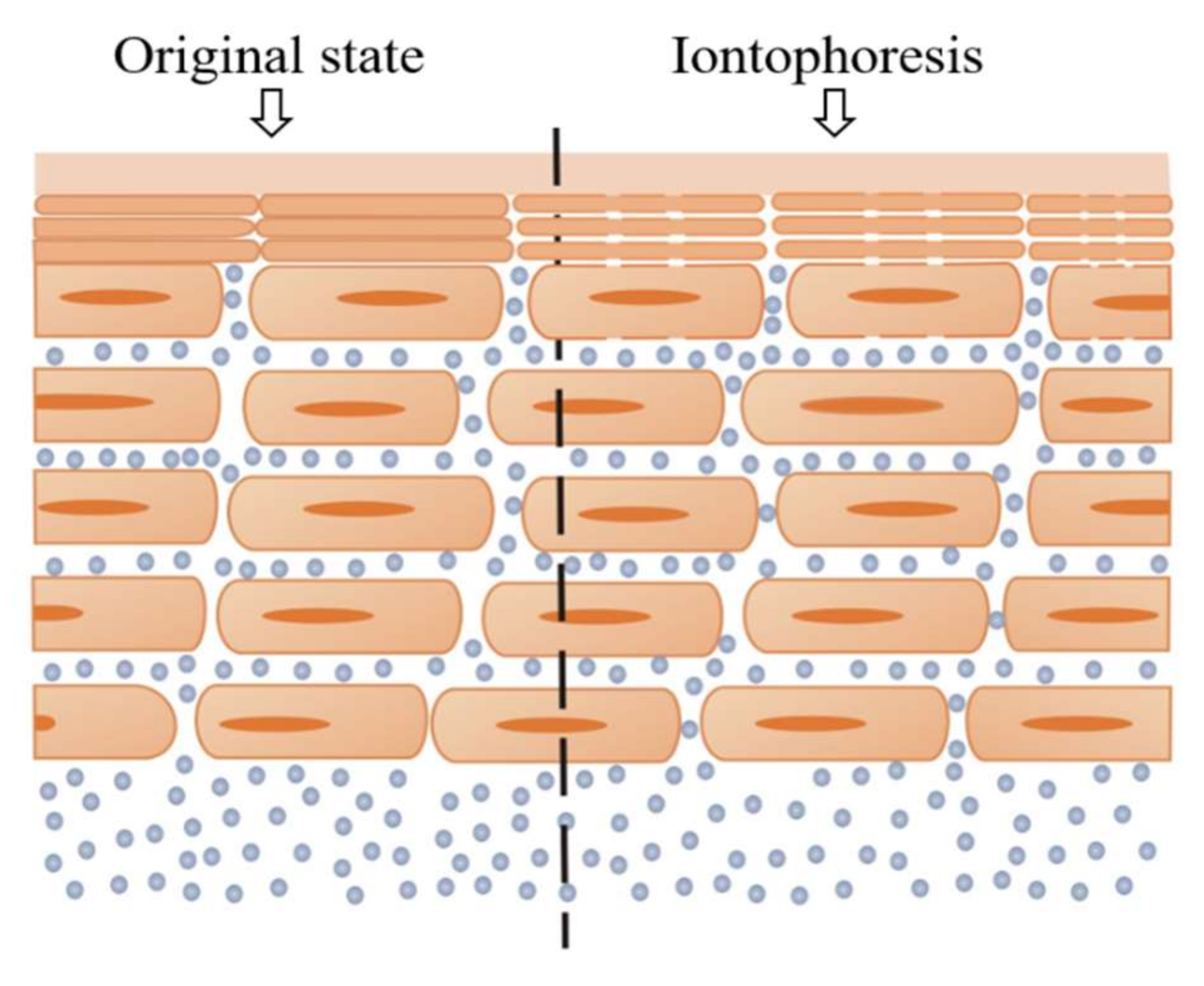 Biosensors 08 00031 g008