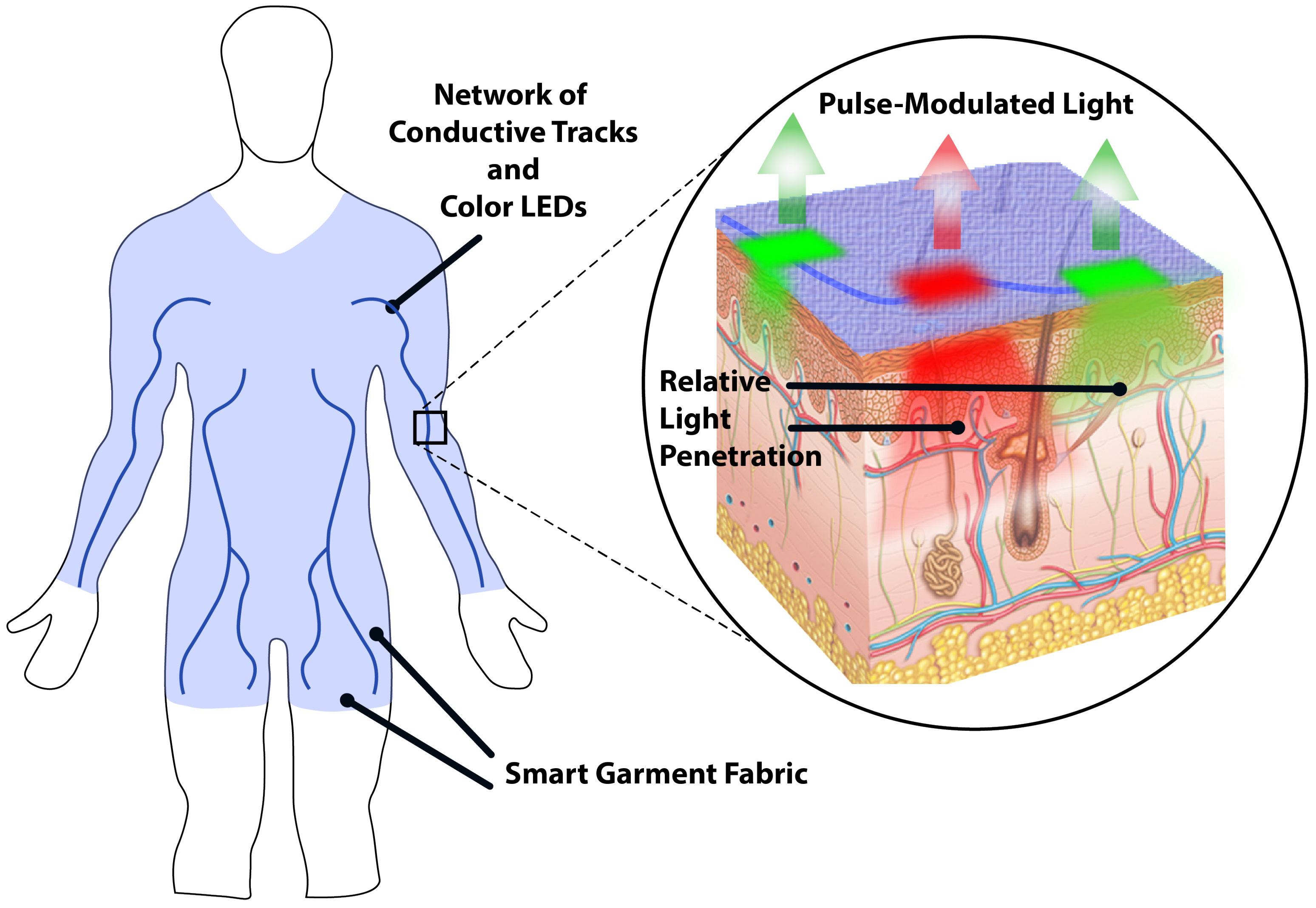 Biosensors 08 00033 g001
