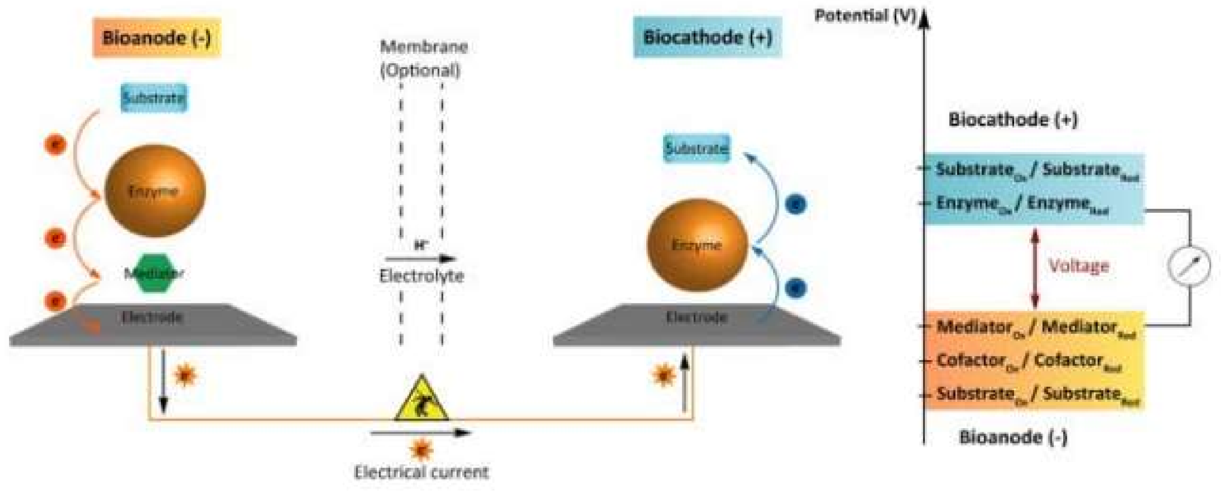 Biosensors Free Full Text Sensors Based On Bio And Biomimetic Receptors In Medical Diagnostic Environment And Food Analysis Html