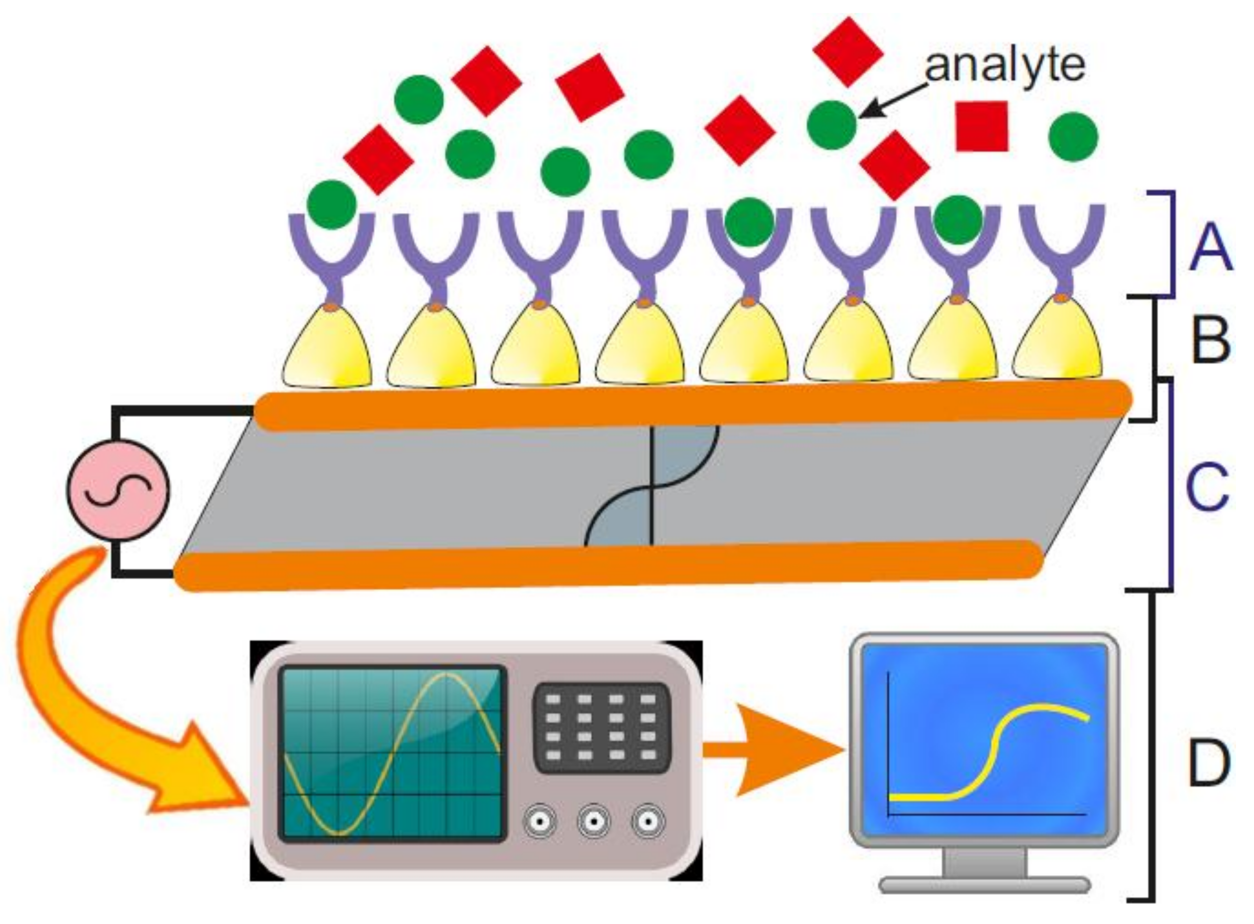 Biosensors 08 00040 g001