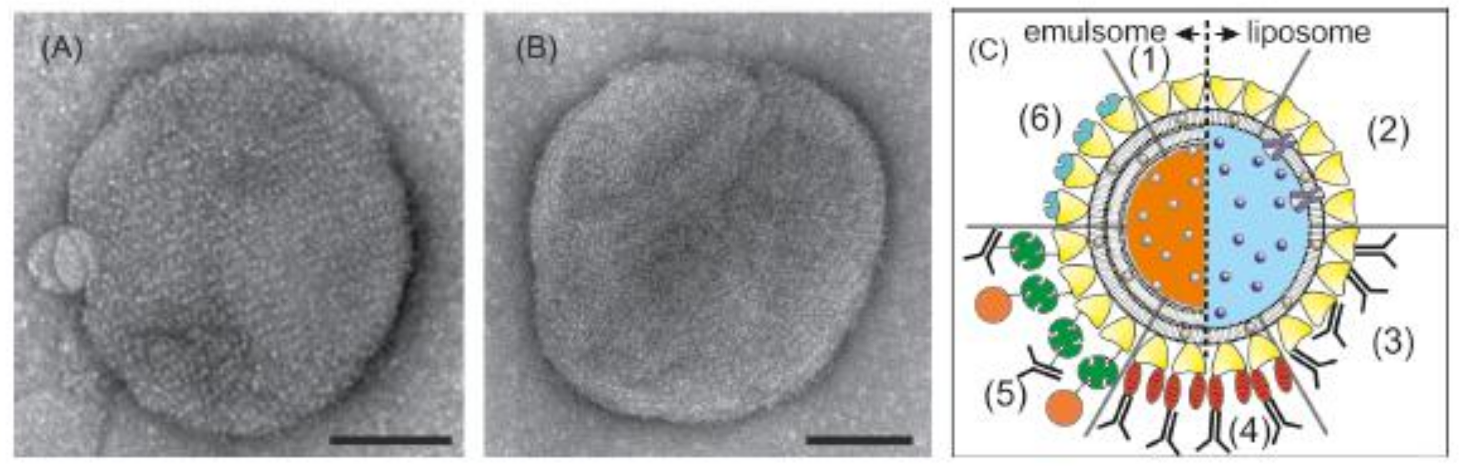 Biosensors 08 00040 g004
