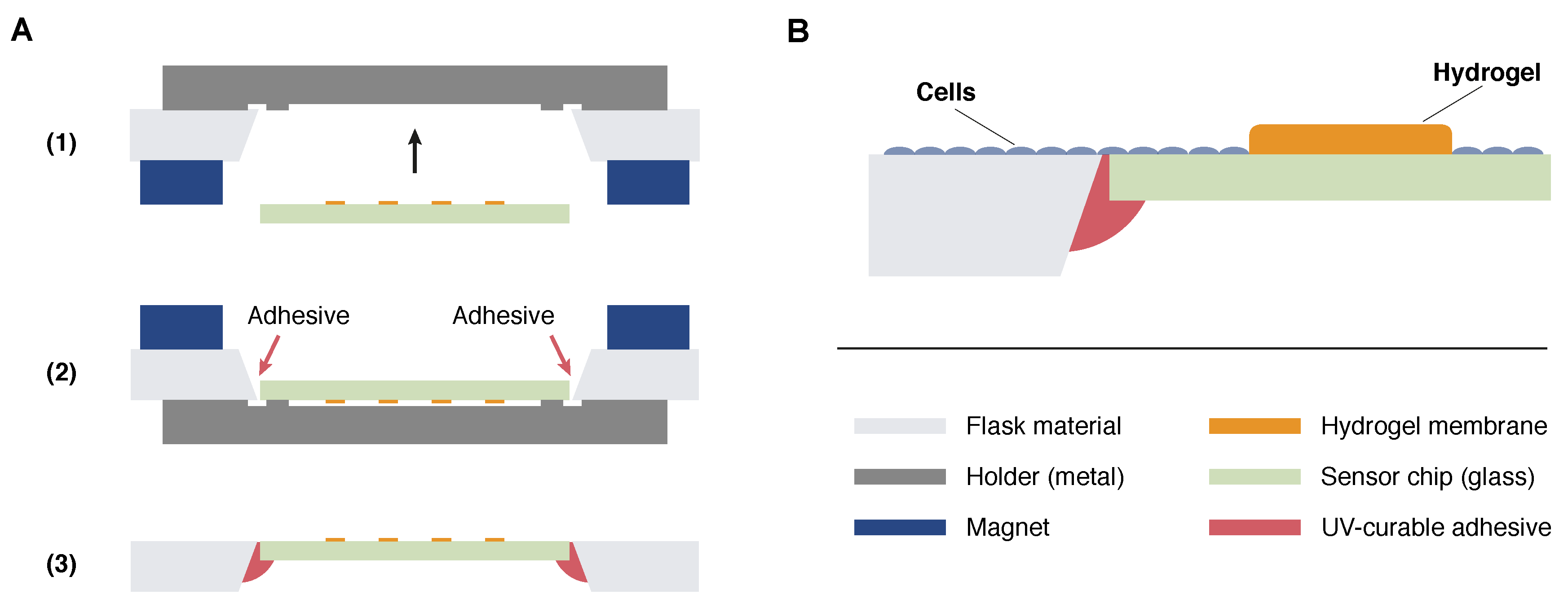 Biosensors 08 00044 g002