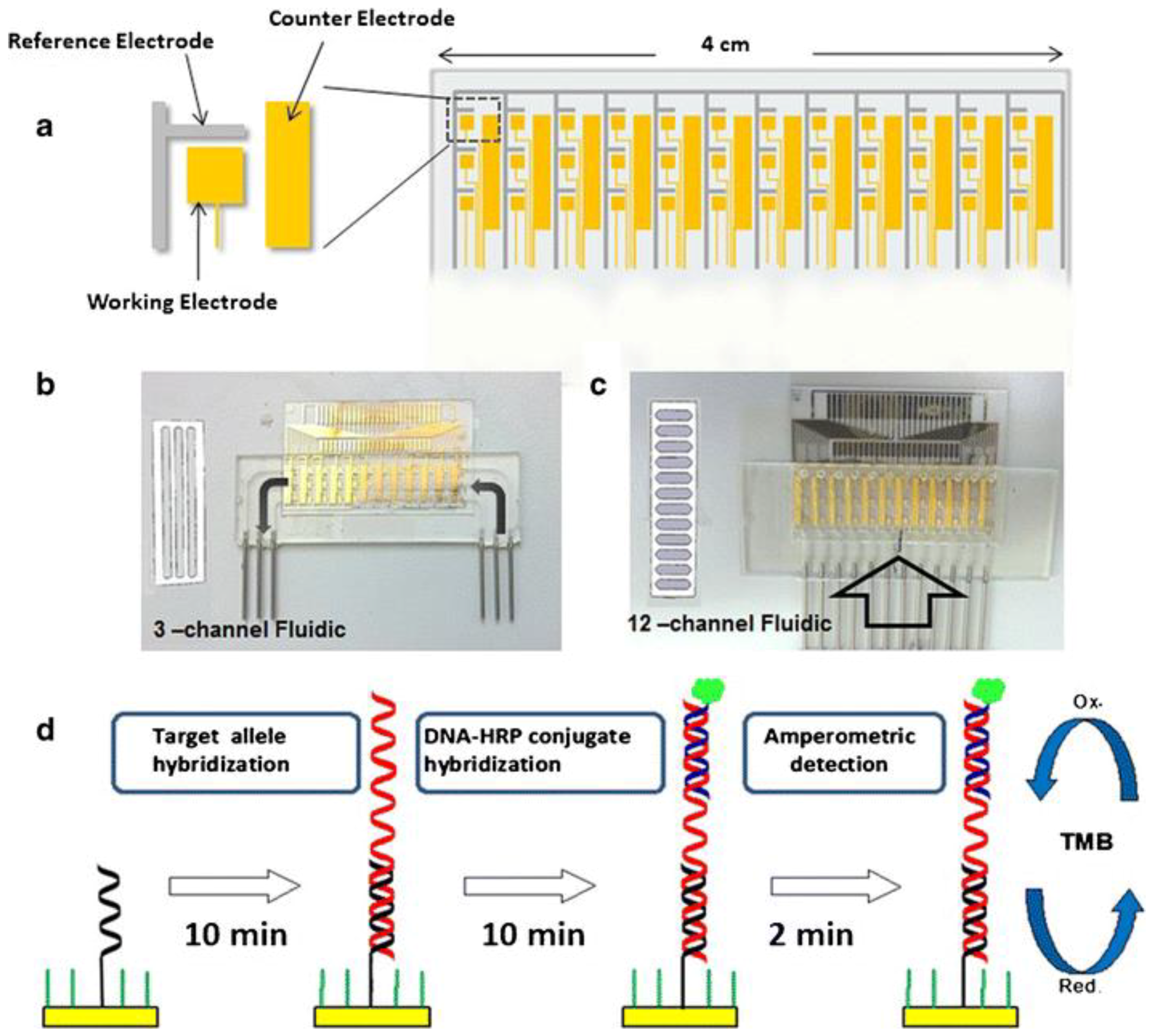Biosensors 08 00055 g002